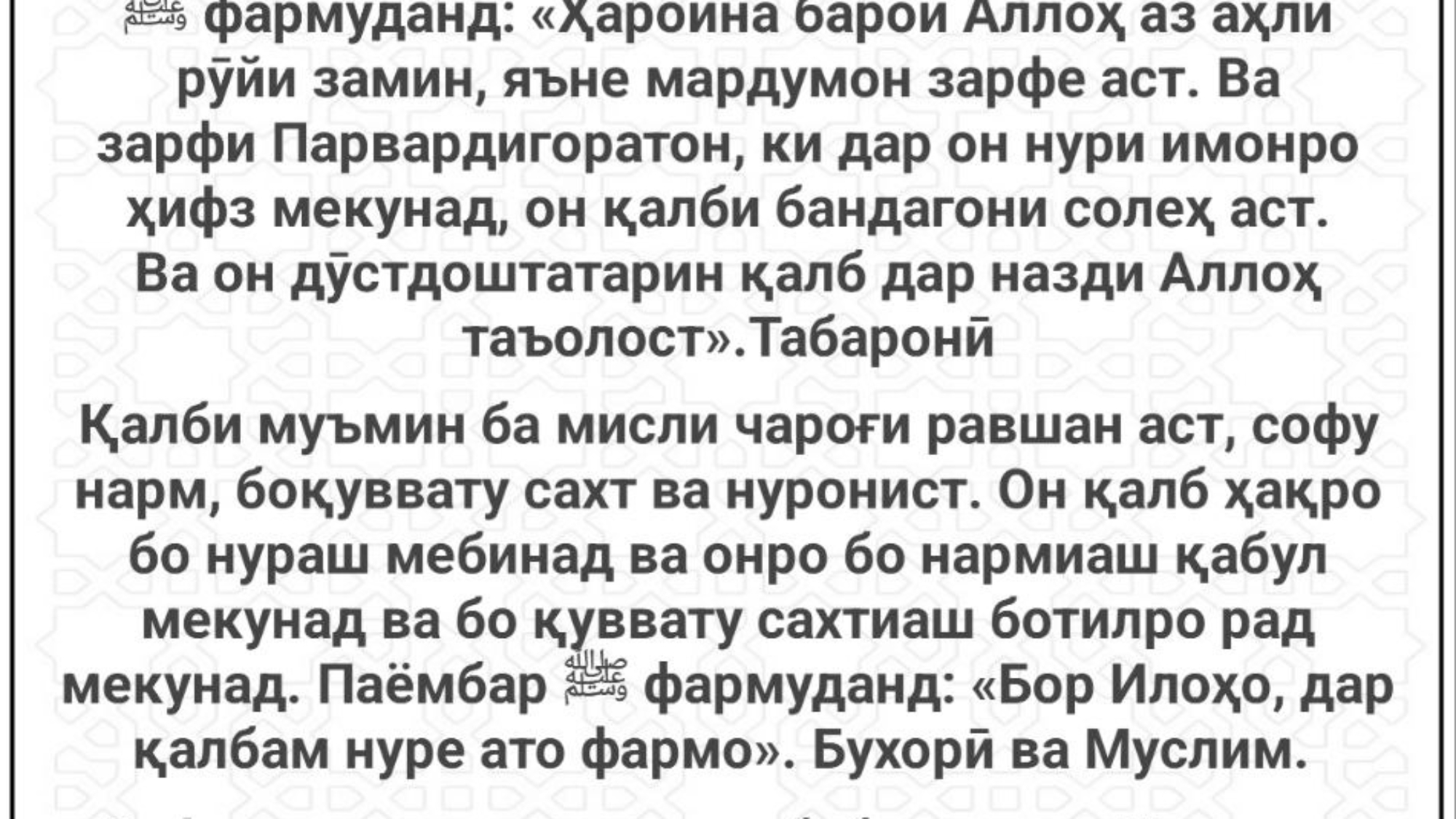 photo_٢٠٢٤-٠٢-١٠_١٥-٥٦-٢٢