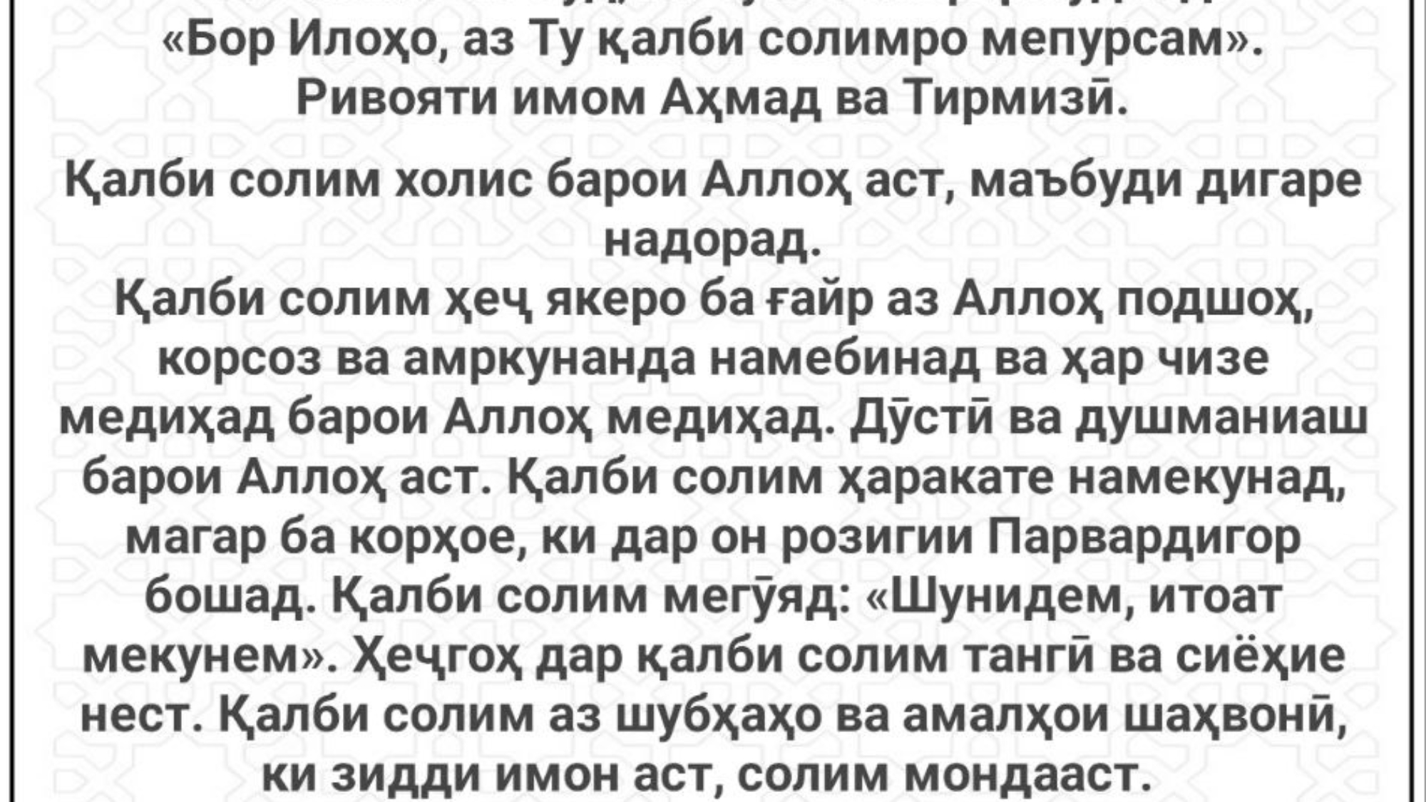 photo_٢٠٢٤-٠٢-١٠_١٥-٥٦-٣٠