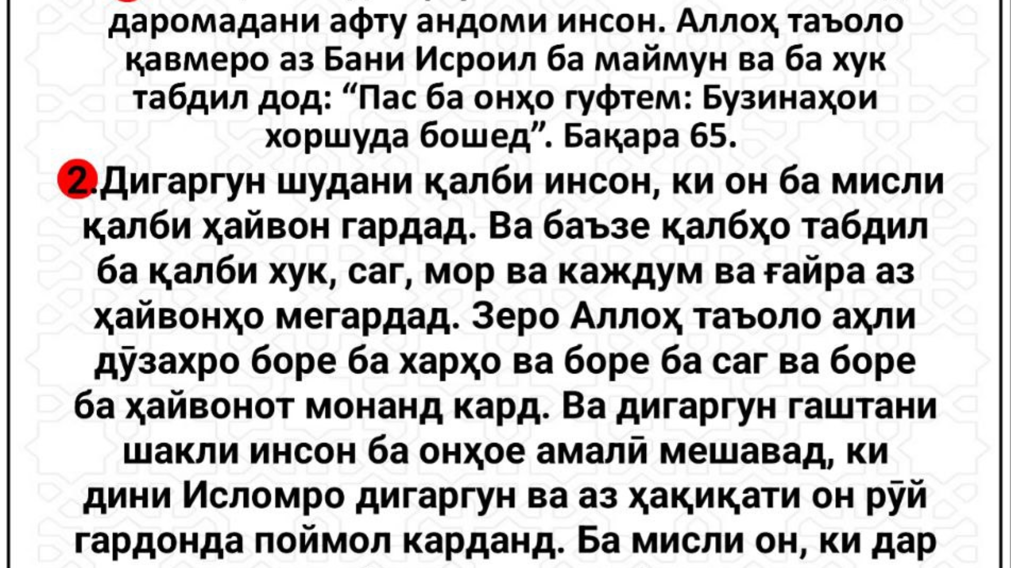 photo_٢٠٢٤-٠٢-١٣_١٠-٢٠-٤١