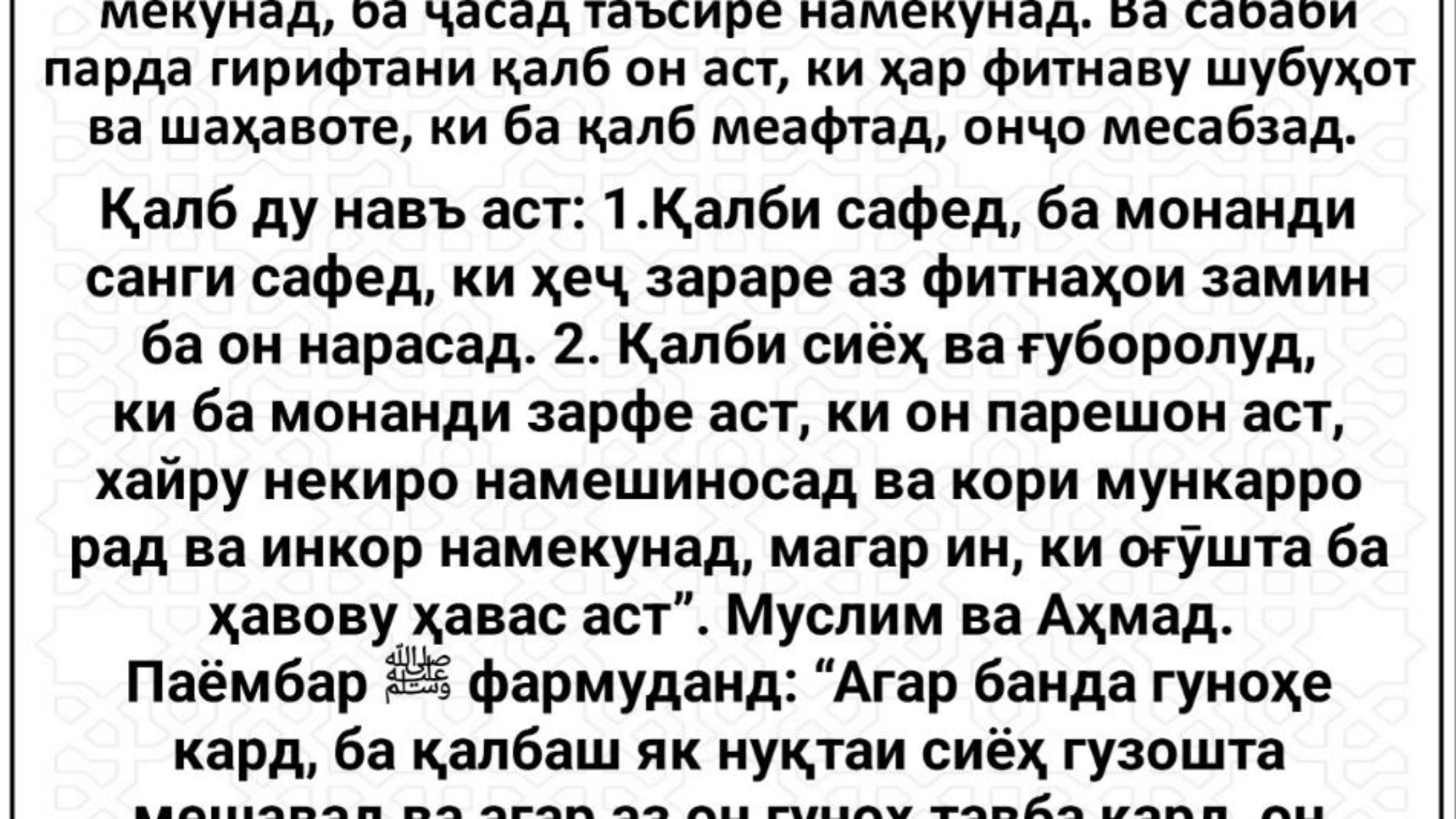 photo_٢٠٢٤-٠٢-١٤_١٣-٥٩-٥٤