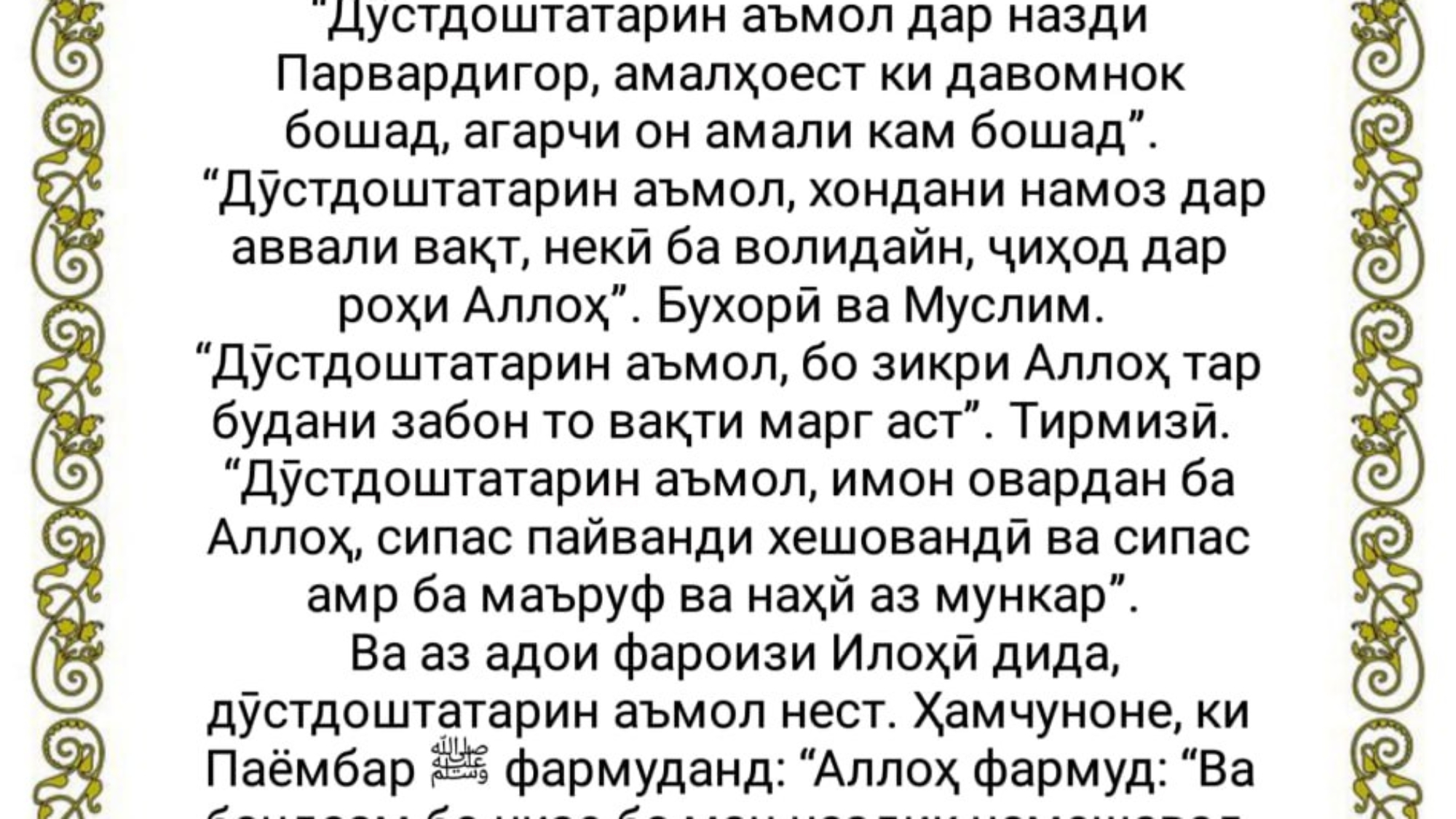 photo_٢٠٢٤-٠٢-١٤_١٦-٤٦-٣٨