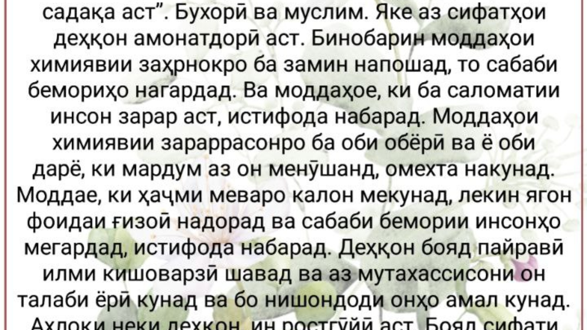 photo_٢٠٢٤-٠٣-٠٨_١٦-٤٩-٢٠