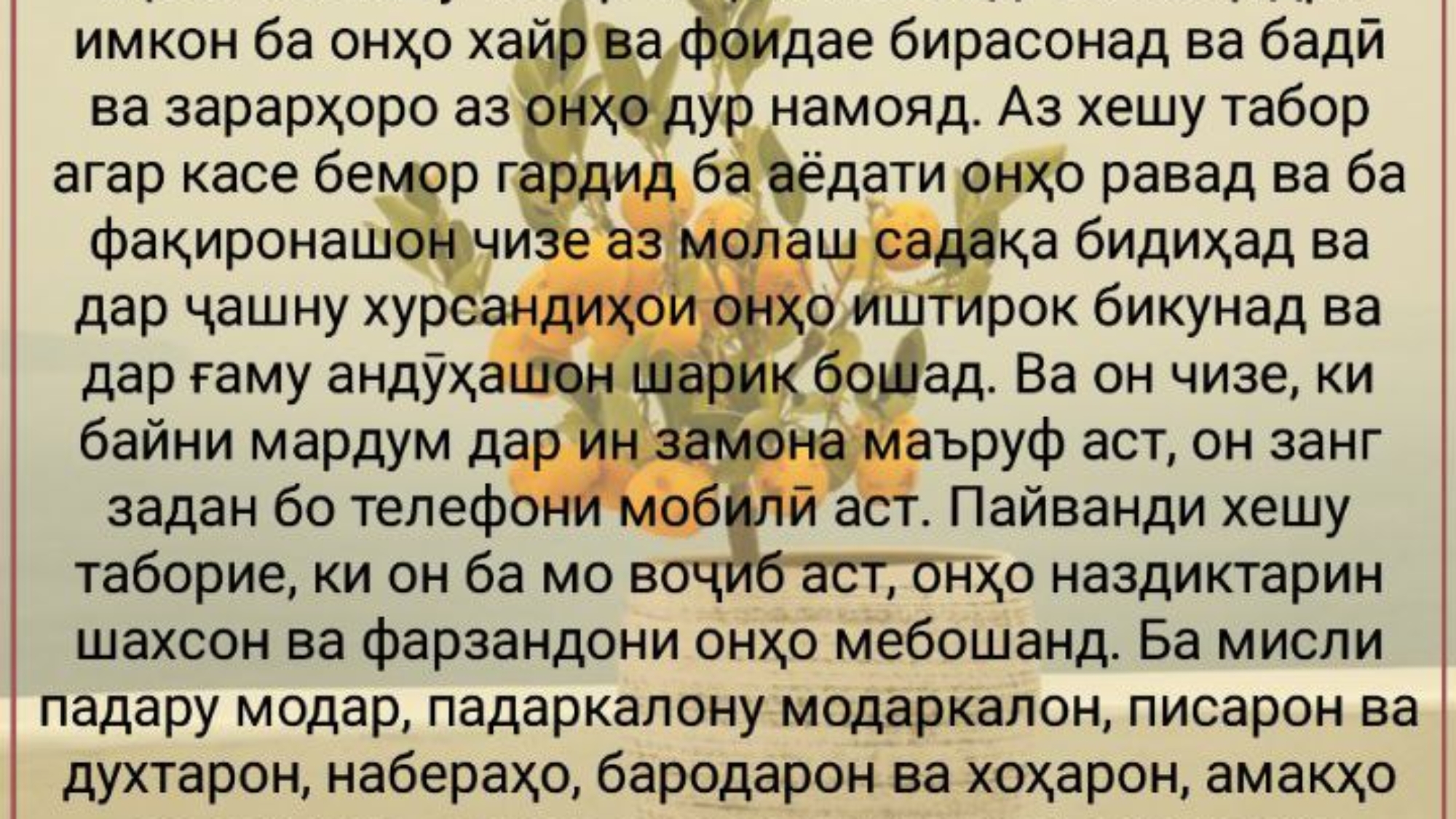 photo_٢٠٢٤-٠٣-٠٨_١٦-٤٩-٣٧