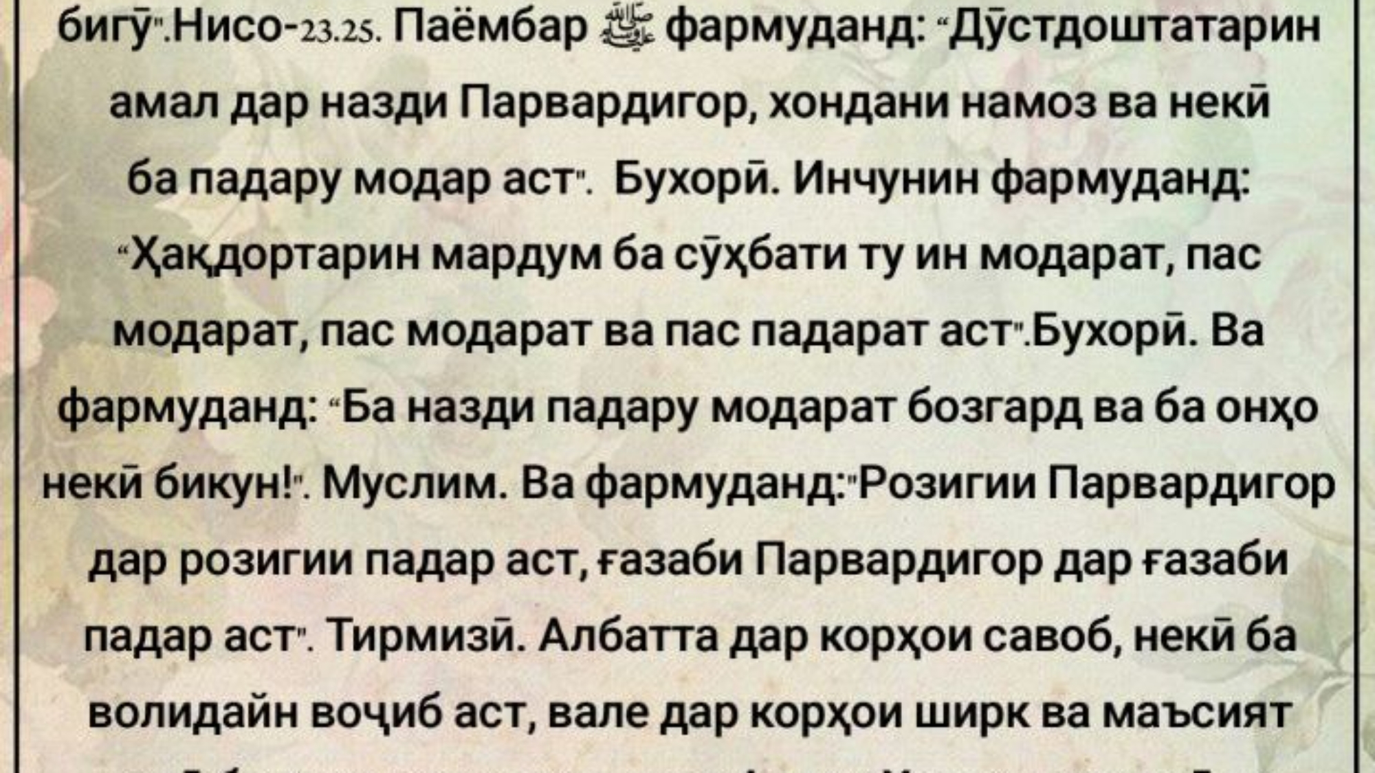 photo_٢٠٢٤-٠٤-١٨_١٧-٥٠-٥٤