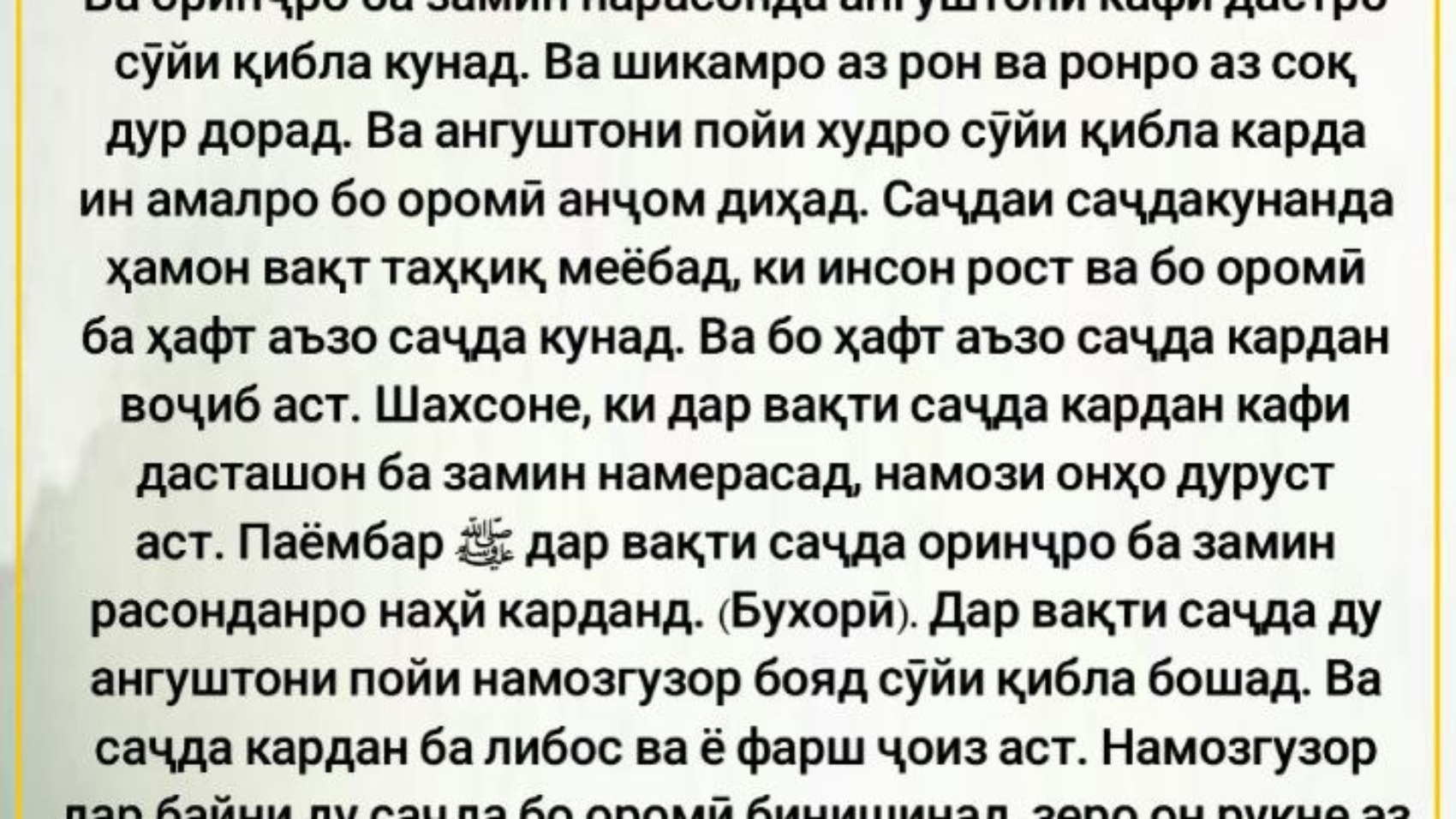 photo_٢٠٢٤-٠٤-٢٦_١٠-٥٥-٥٢