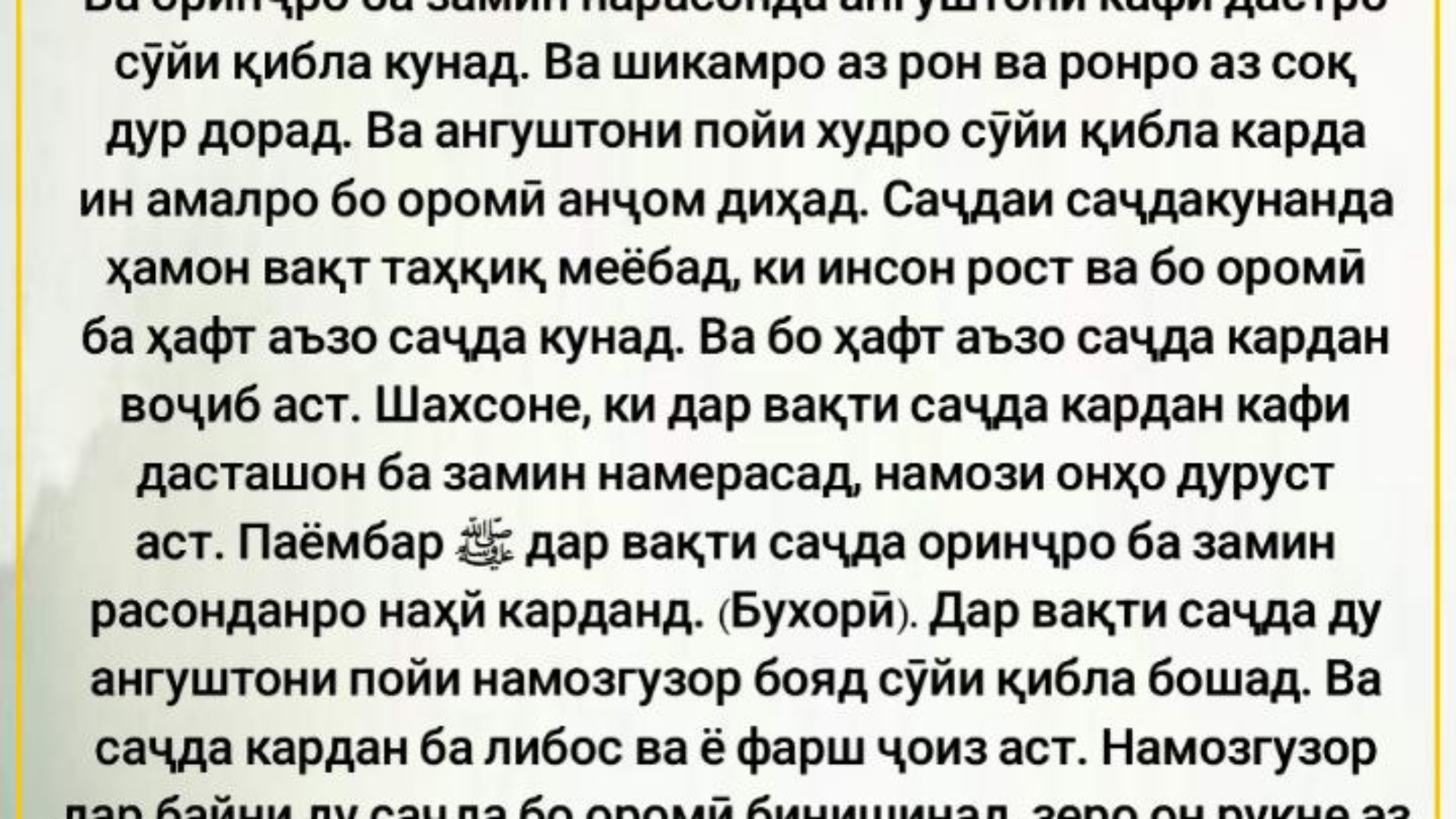 photo_٢٠٢٤-٠٤-٢٦_١٠-٥٥-٥٢