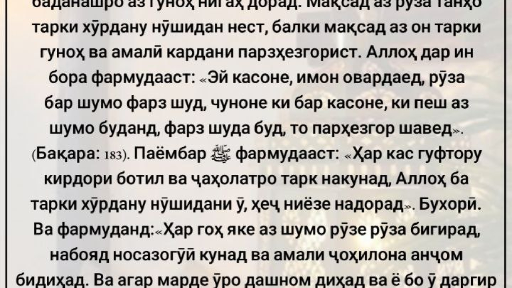 photo_٢٠٢٤-٠٤-٢٧_١٣-٠٤-٠٠