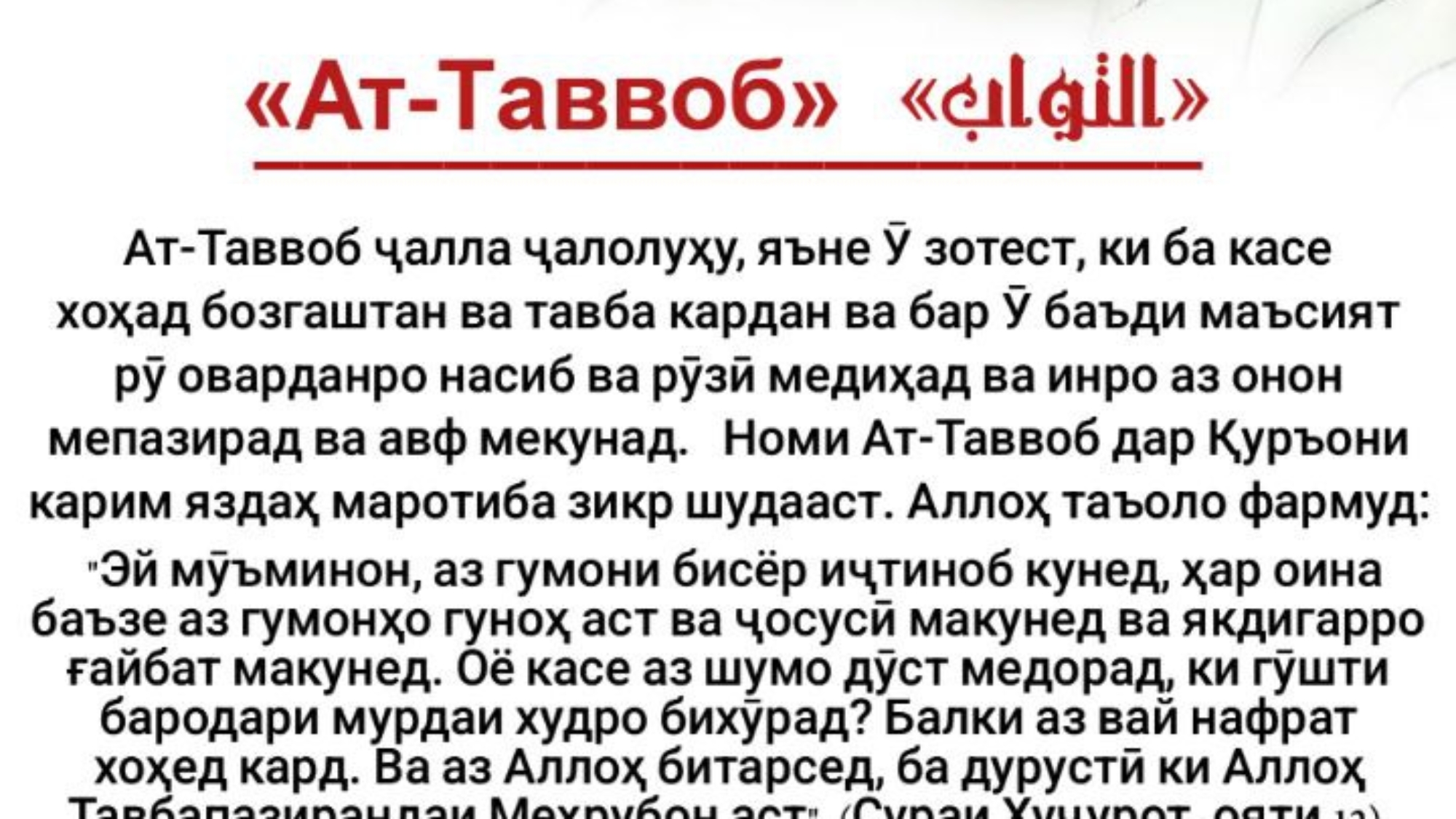 photo_٢٠٢٤-٠٤-٢٨_١٤-١٣-٤٣