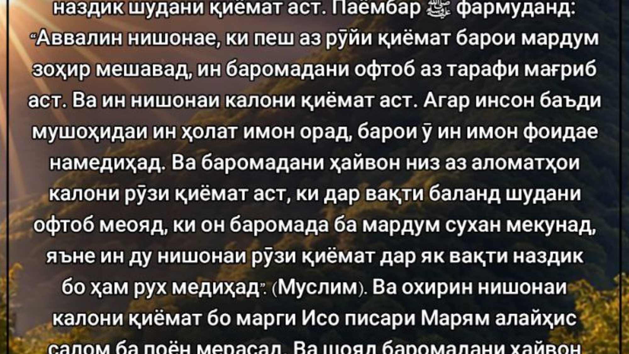 photo_٢٠٢٤-٠٥-٠١_١٧-٤٤-٤٧