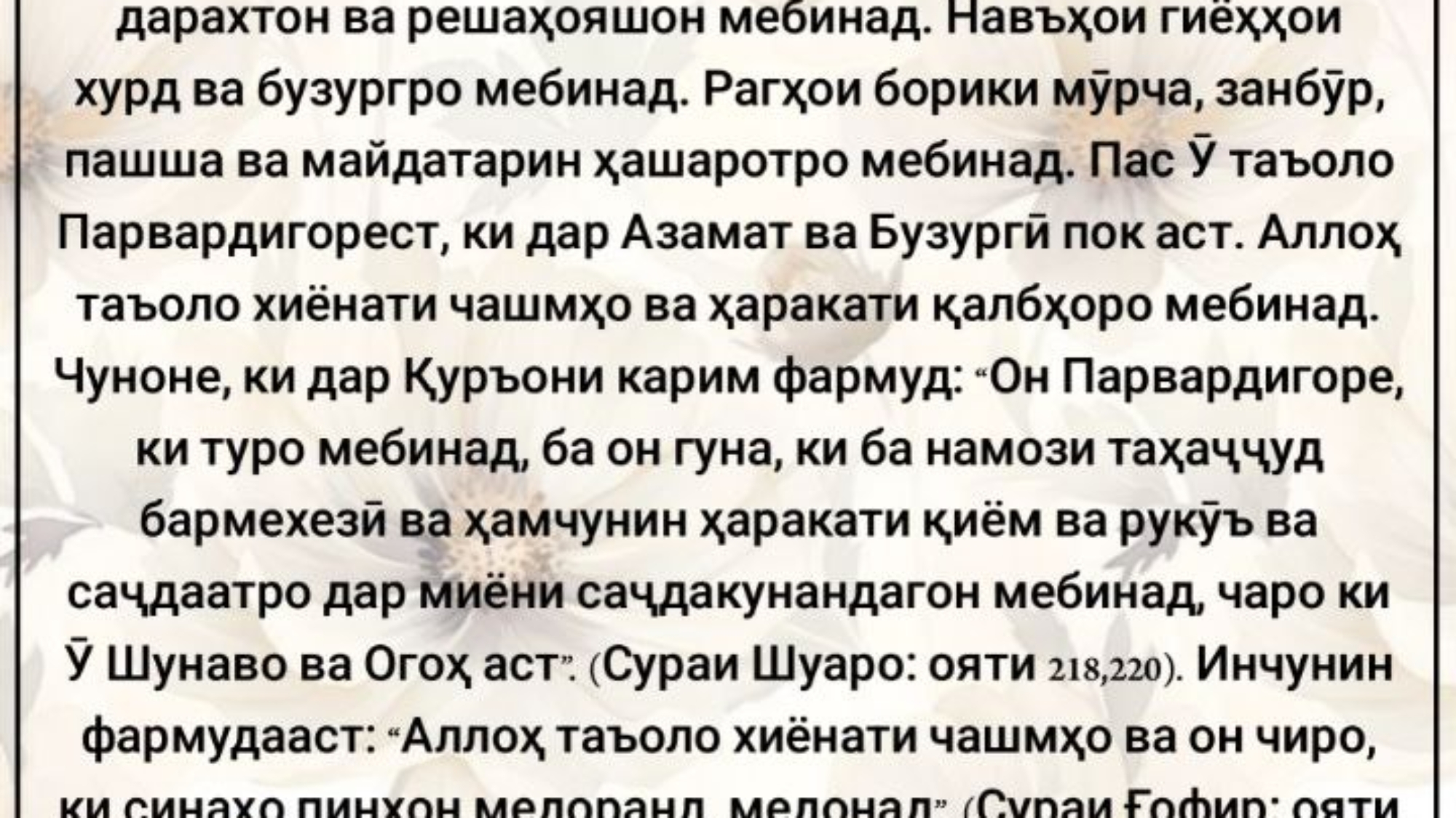 photo_٢٠٢٤-٠٥-٠٢_١٢-٥٠-٠٤