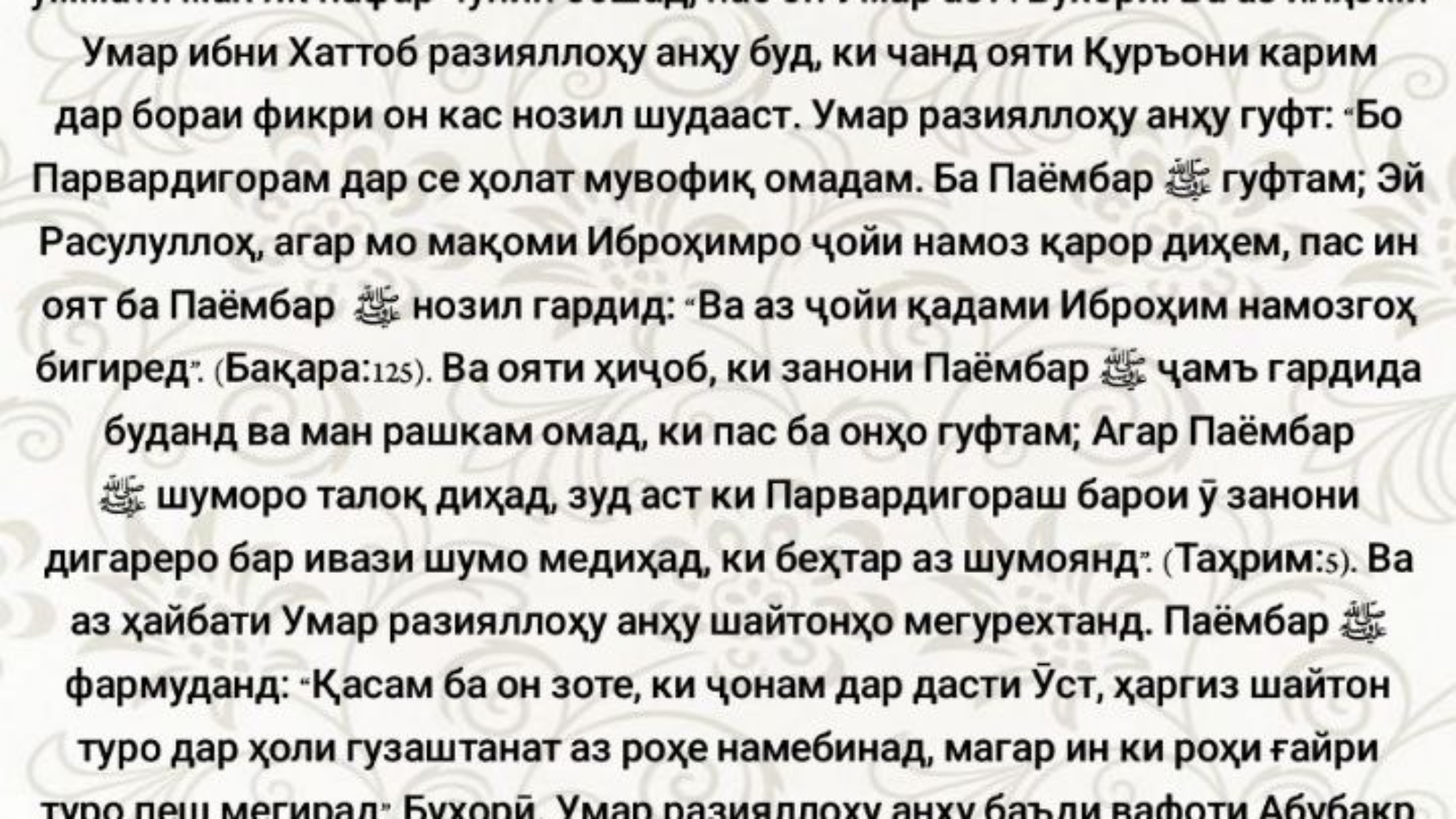 photo_٢٠٢٤-٠٥-٠٢_١٢-٥١-٤٩