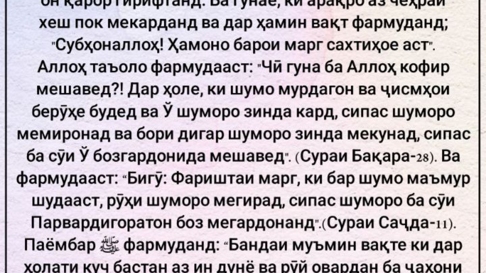 photo_٢٠٢٤-٠٥-١٩_٠٨-٠٩-٤٣