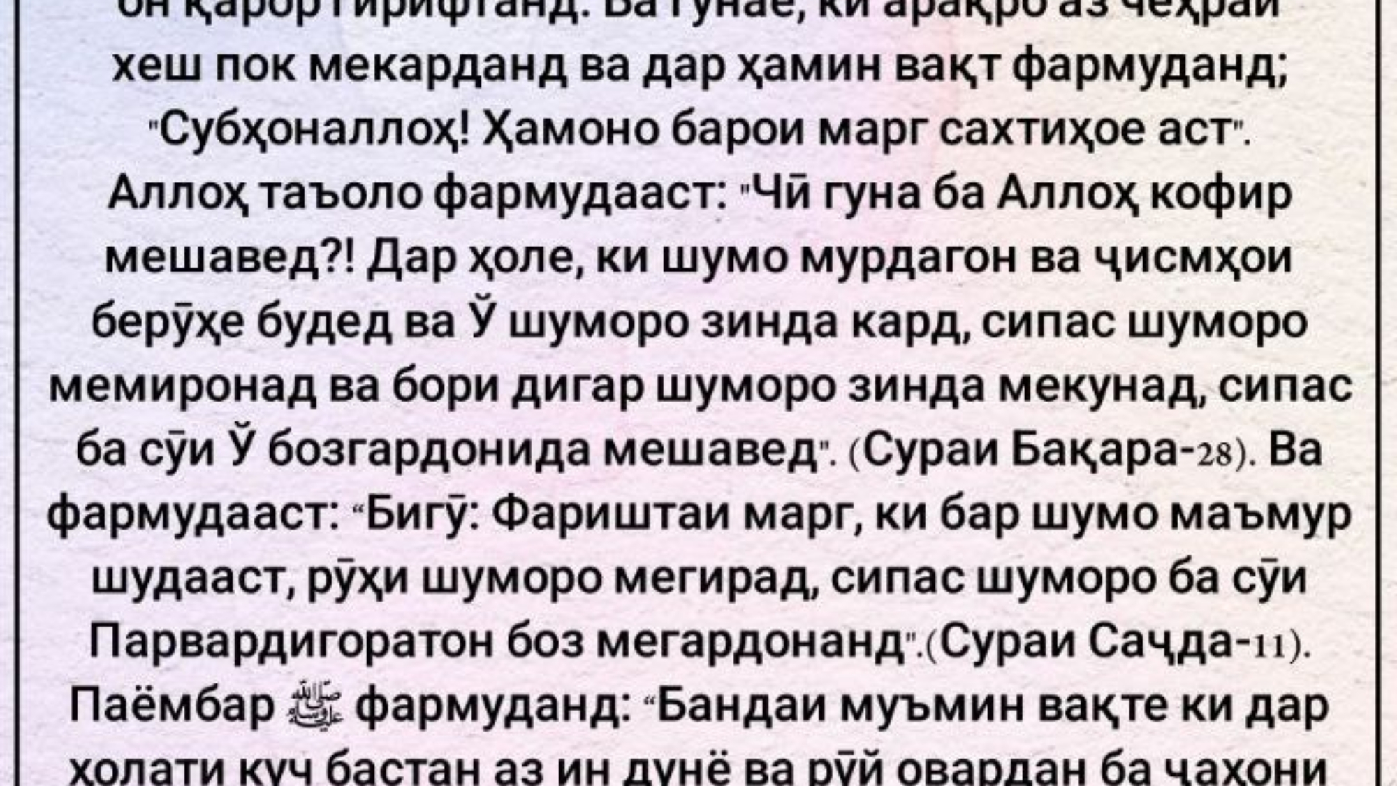 photo_٢٠٢٤-٠٥-١٩_٠٨-٠٩-٤٣