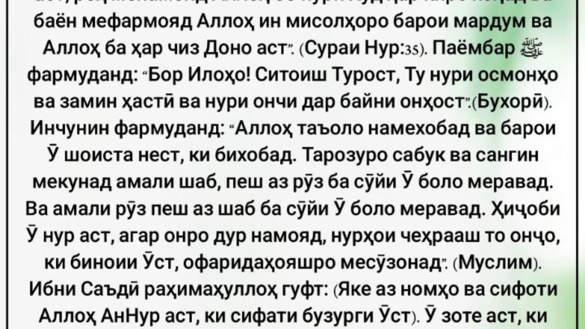 photo_٢٠٢٤-٠٥-١٩_٠٨-٠٩-٤٨