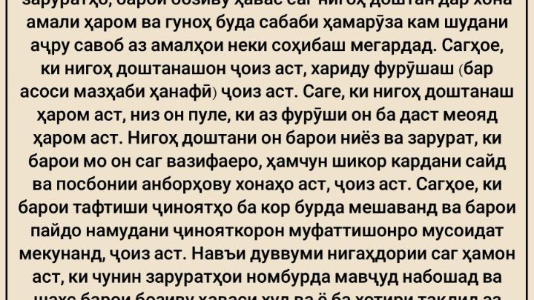 photo_٢٠٢٤-٠٥-١٩_٠٨-٠٩-٤٩