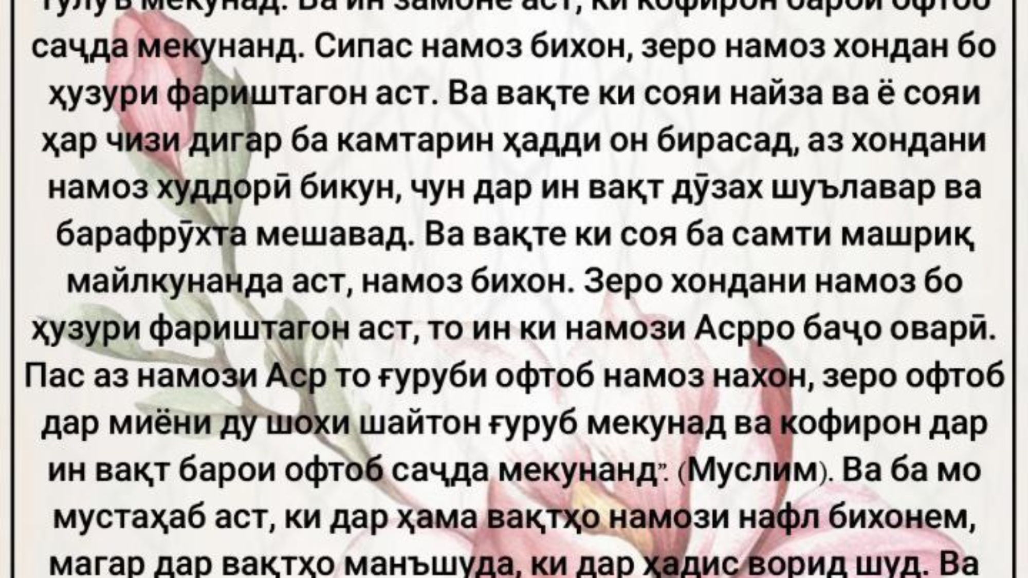 photo_٢٠٢٤-٠٥-٢٦_١١-٥٥-٤٠