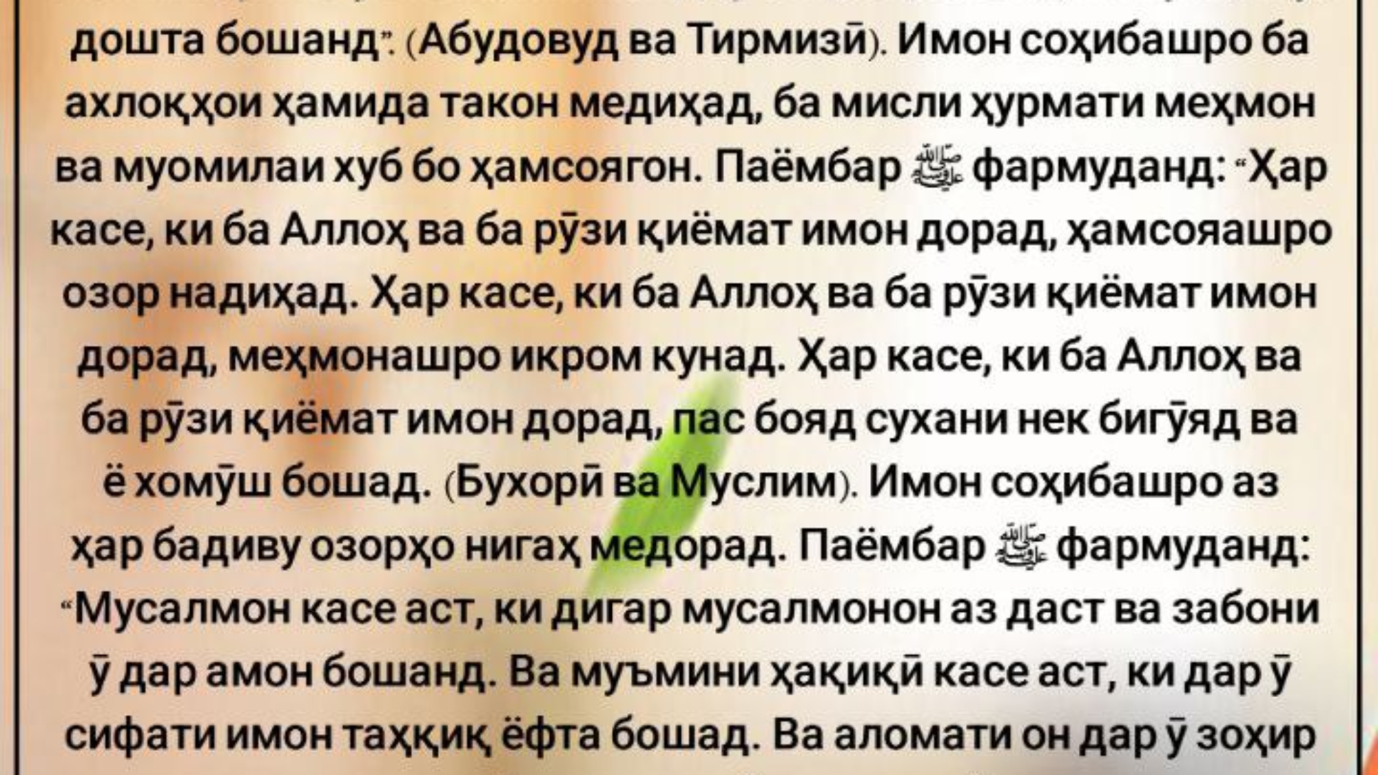 photo_٢٠٢٤-٠٥-٢٦_١٢-٠١-٠٦