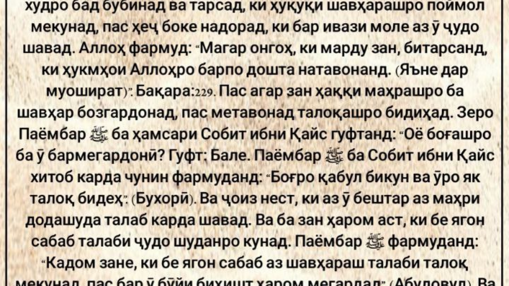 photo_٢٠٢٤-٠٥-٢٦_١٢-١٠-٣٥