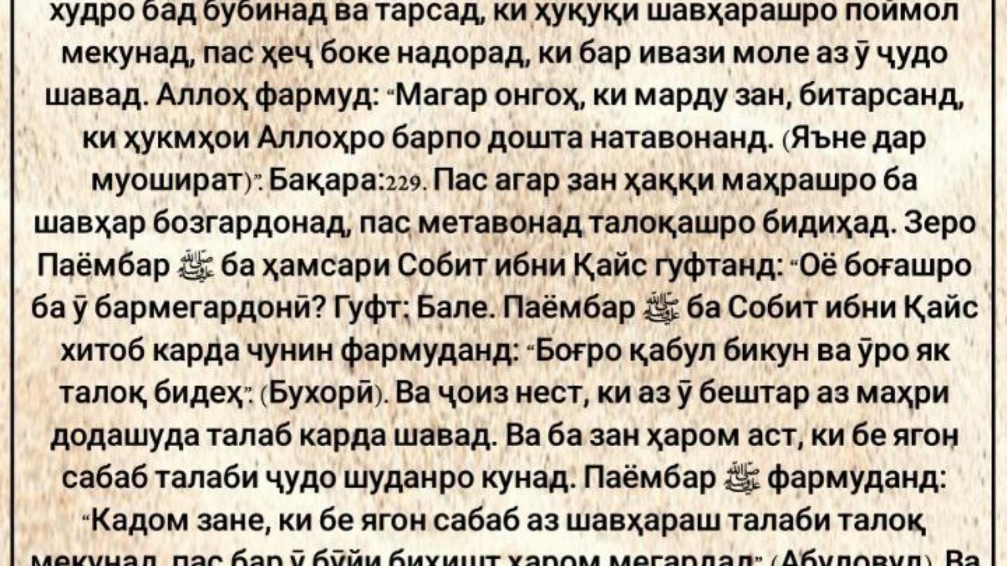 photo_٢٠٢٤-٠٥-٢٦_١٢-١٠-٣٥