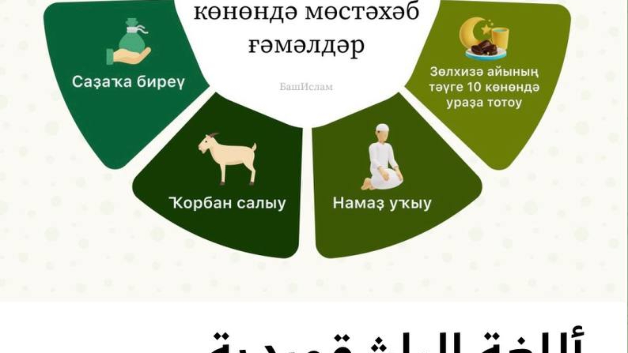 photo_2024-06-10_11-11-45