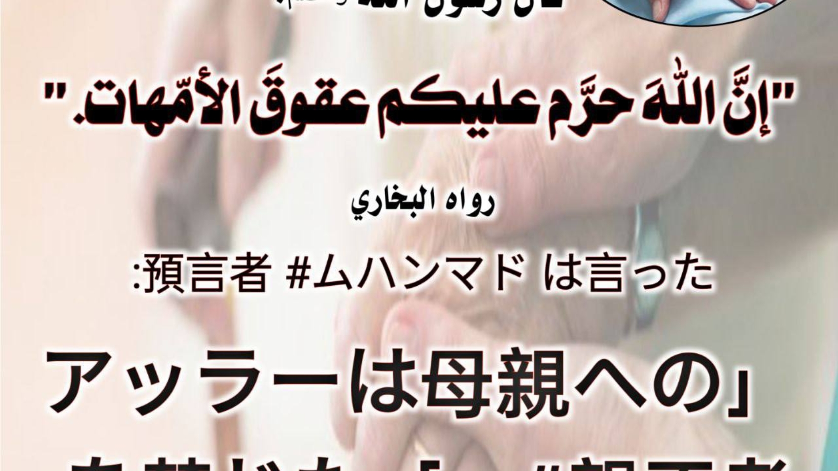 photo_٢٠٢٣-١٢-٢٦_٠٦-٠٥-٤٩