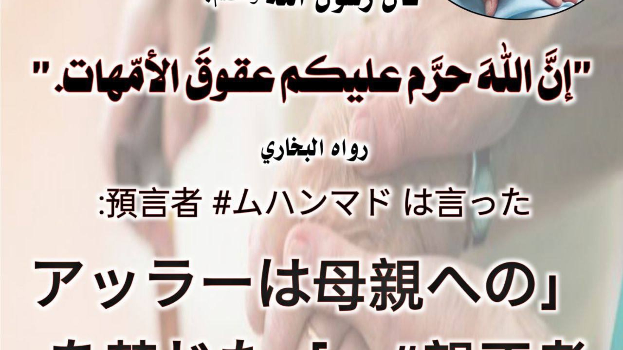 photo_٢٠٢٣-١٢-٢٦_٠٦-٠٥-٤٩