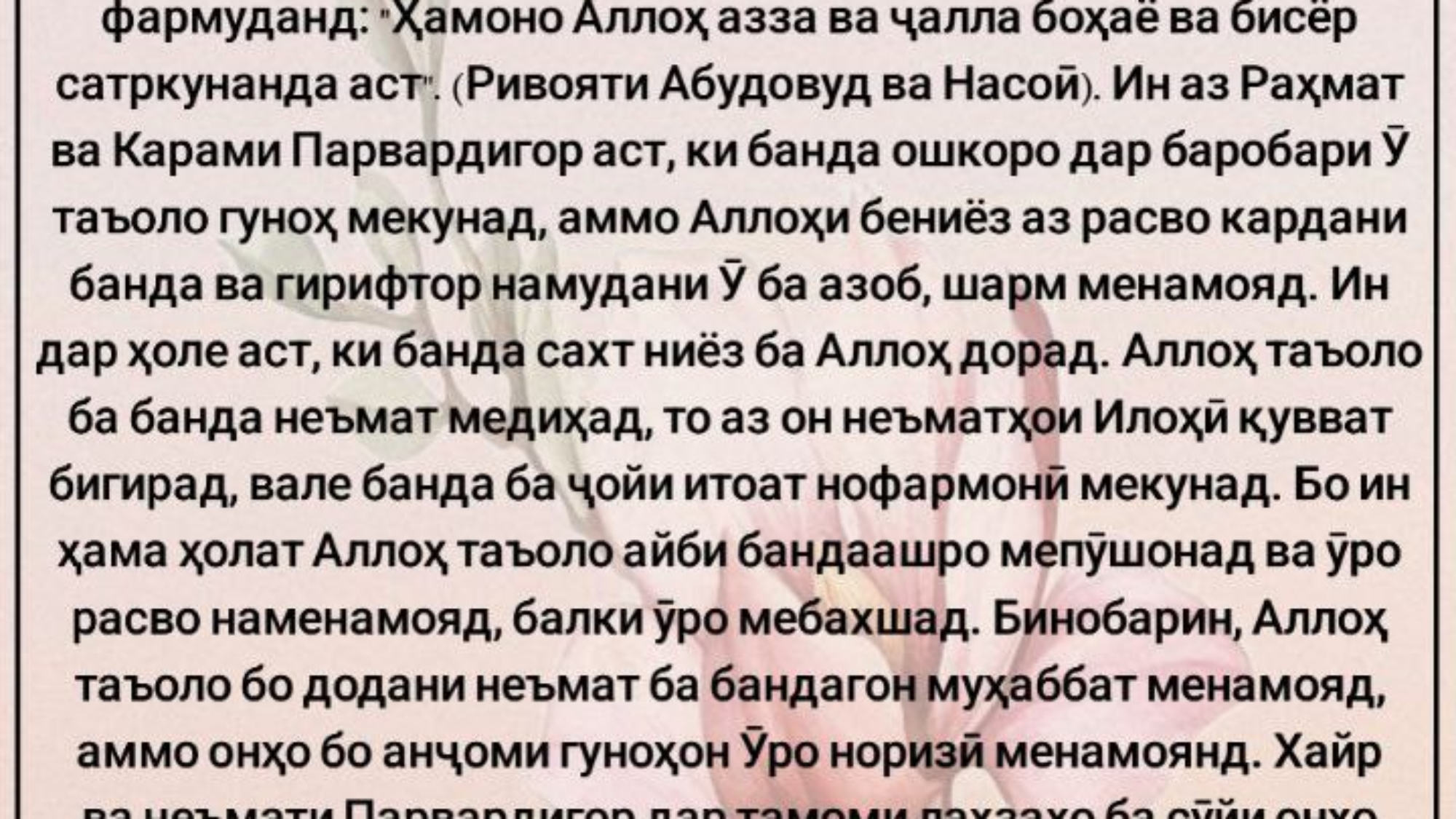 photo_٢٠٢٤-٠٦-٠٣_١٧-٥٧-٤٦