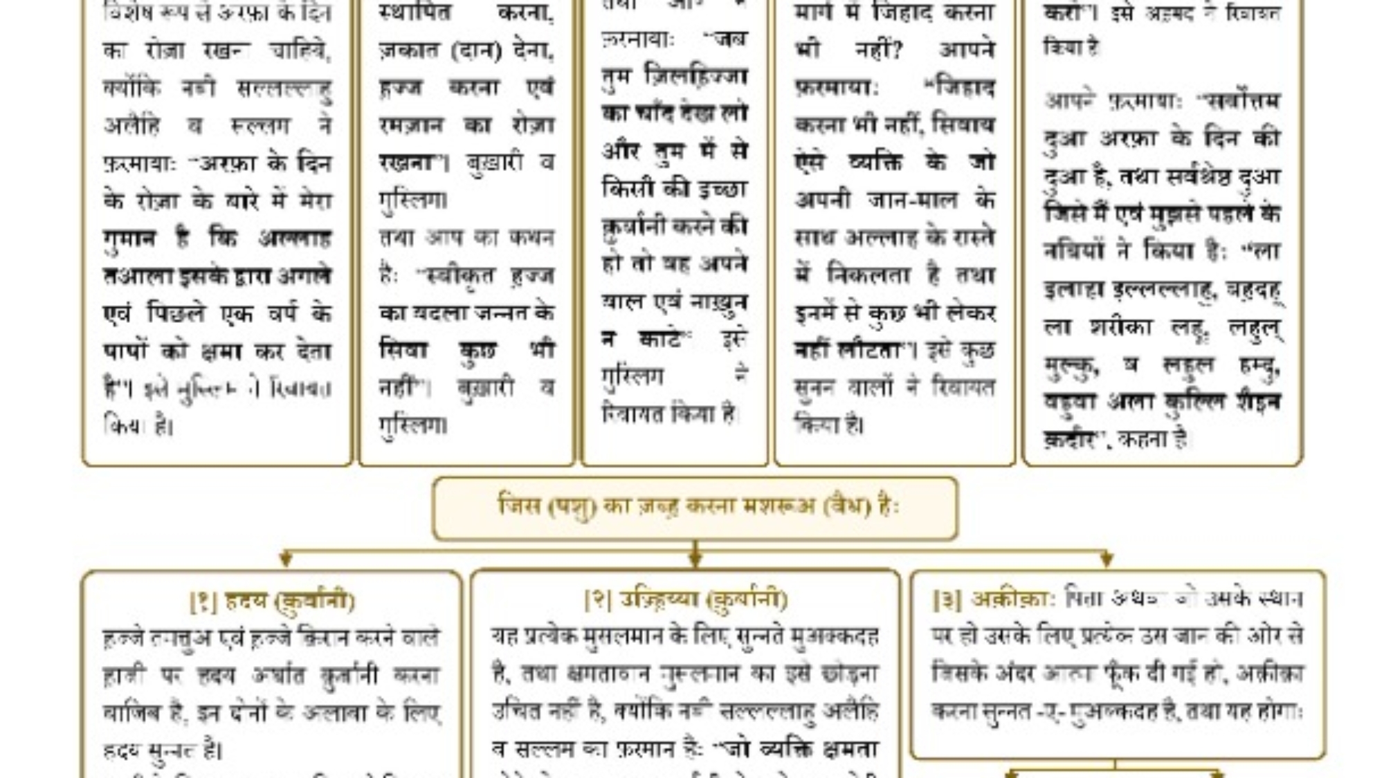 صورة واتساب بتاريخ 2024-06-08 في 20.01.23_26b1bc45