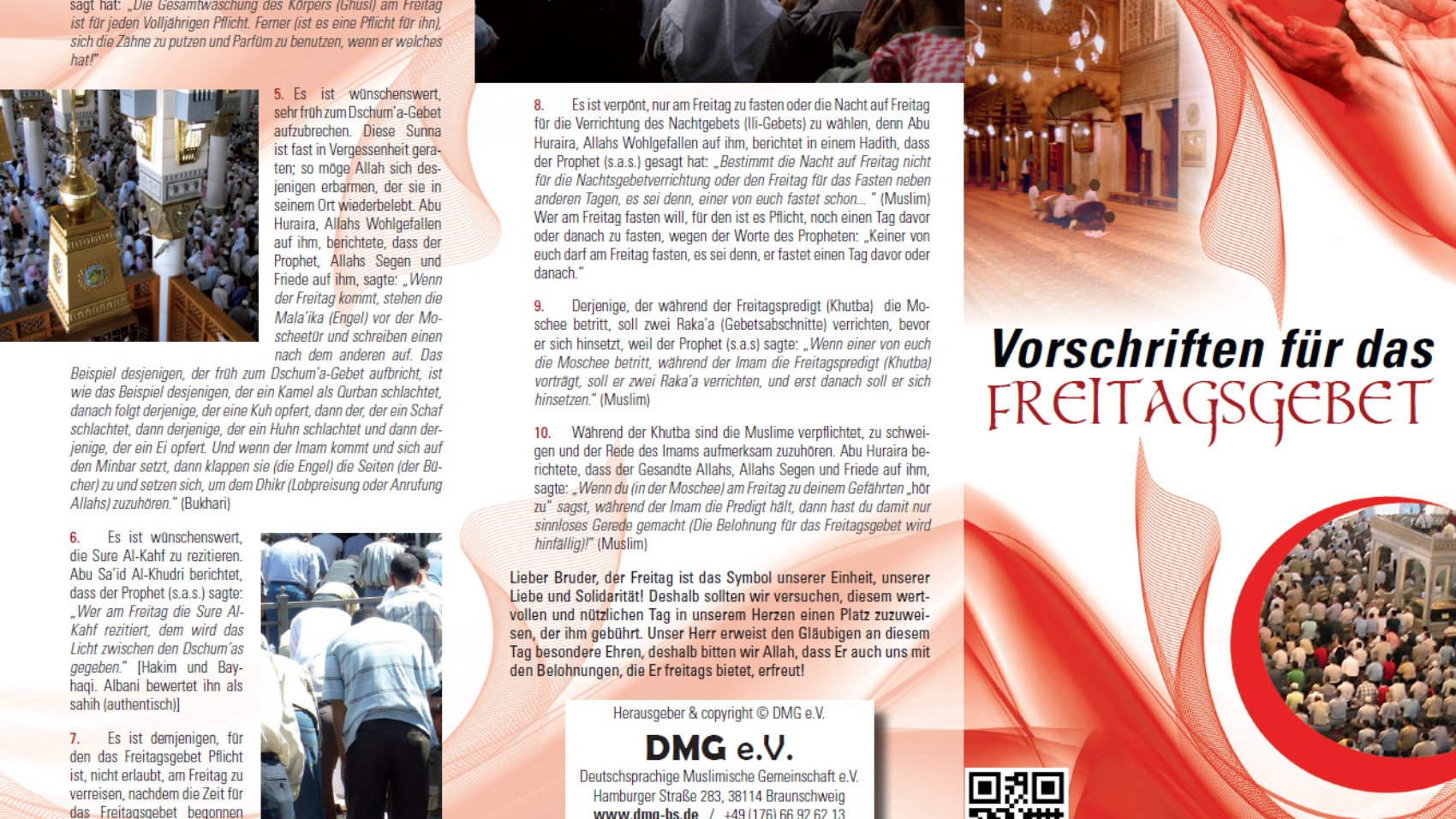 صورة8