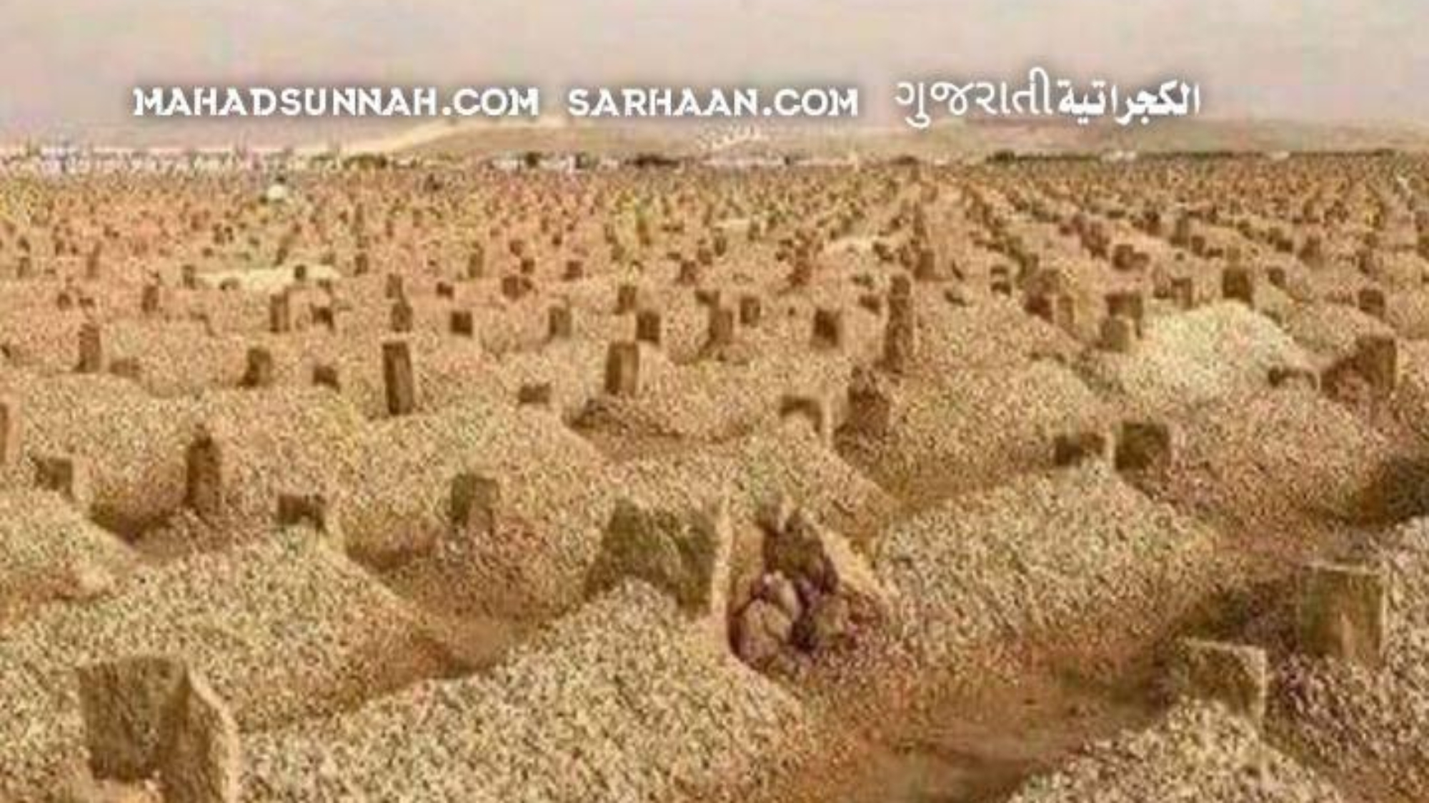 صورة واتساب بتاريخ 2024-08-20 في 13.44.14_b75af7f5