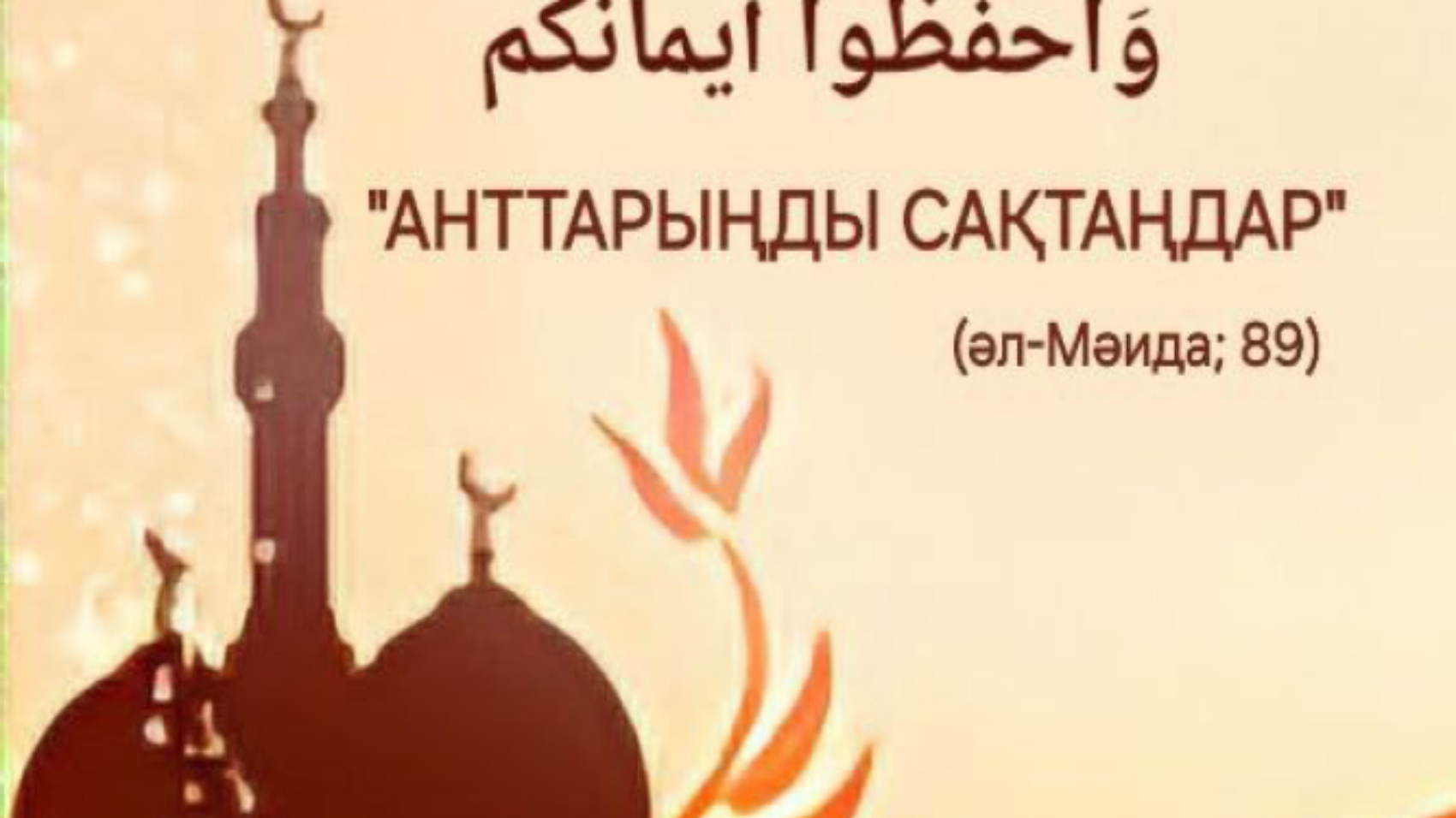 لقطة شاش56
