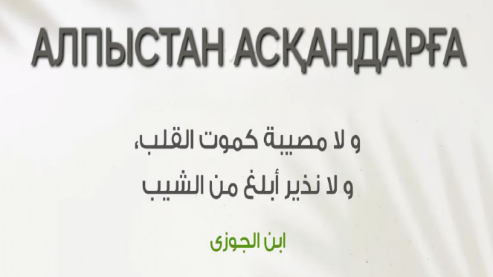 لقطة233707