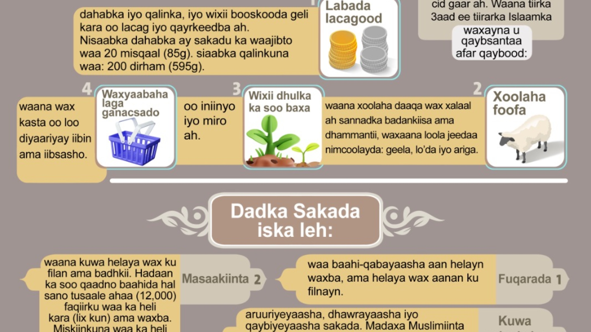 صورة واتساب بتاريخ 2024-10-30 في 20.04.19_7e7804cd