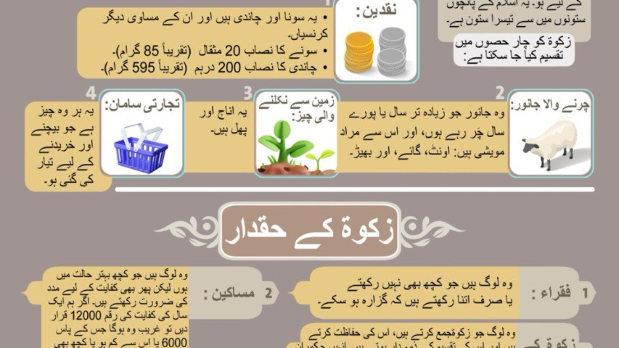 photo_2025-01-13_11-51-05 (2)