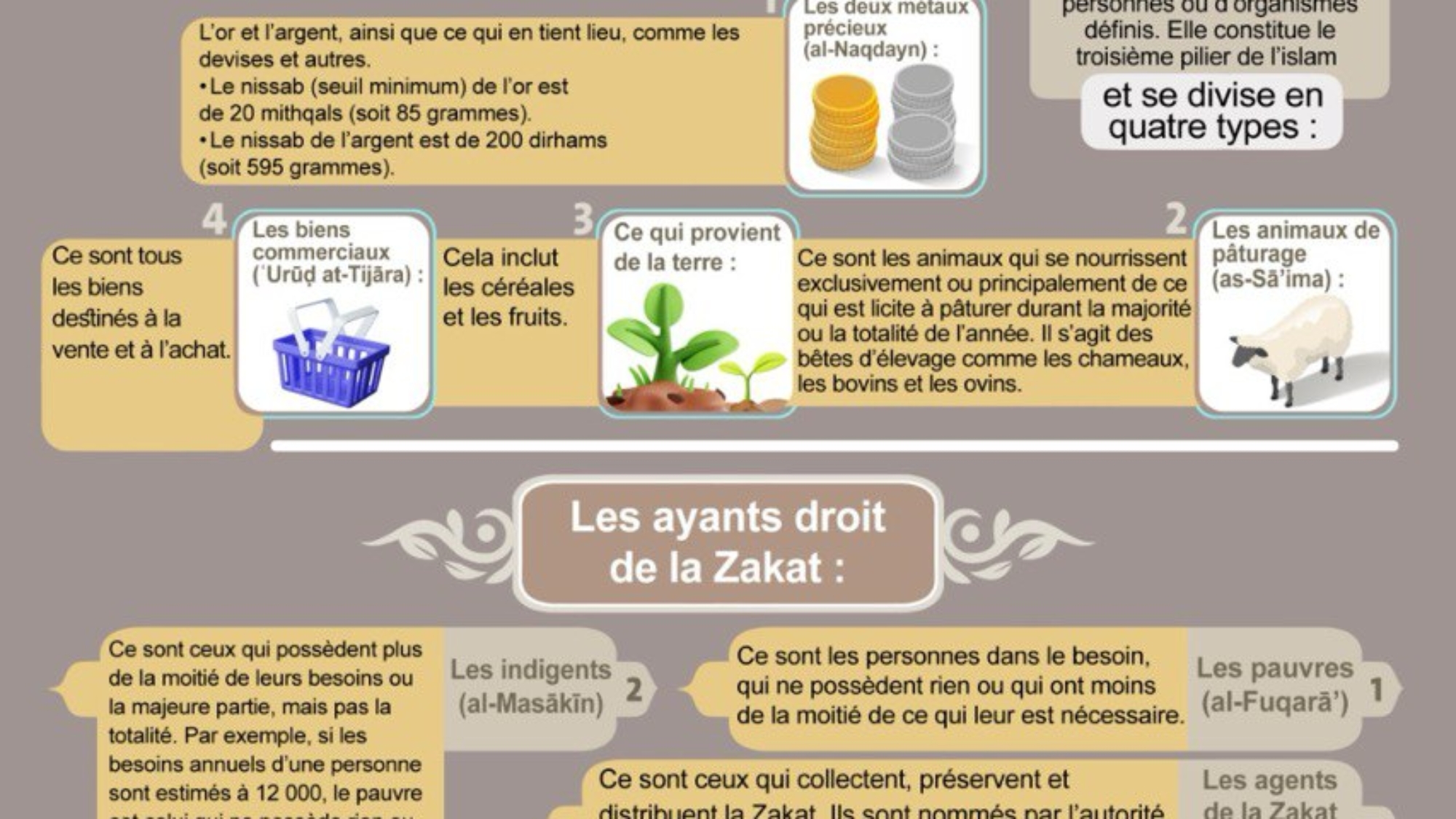 photo_2025-01-24_07-10-08