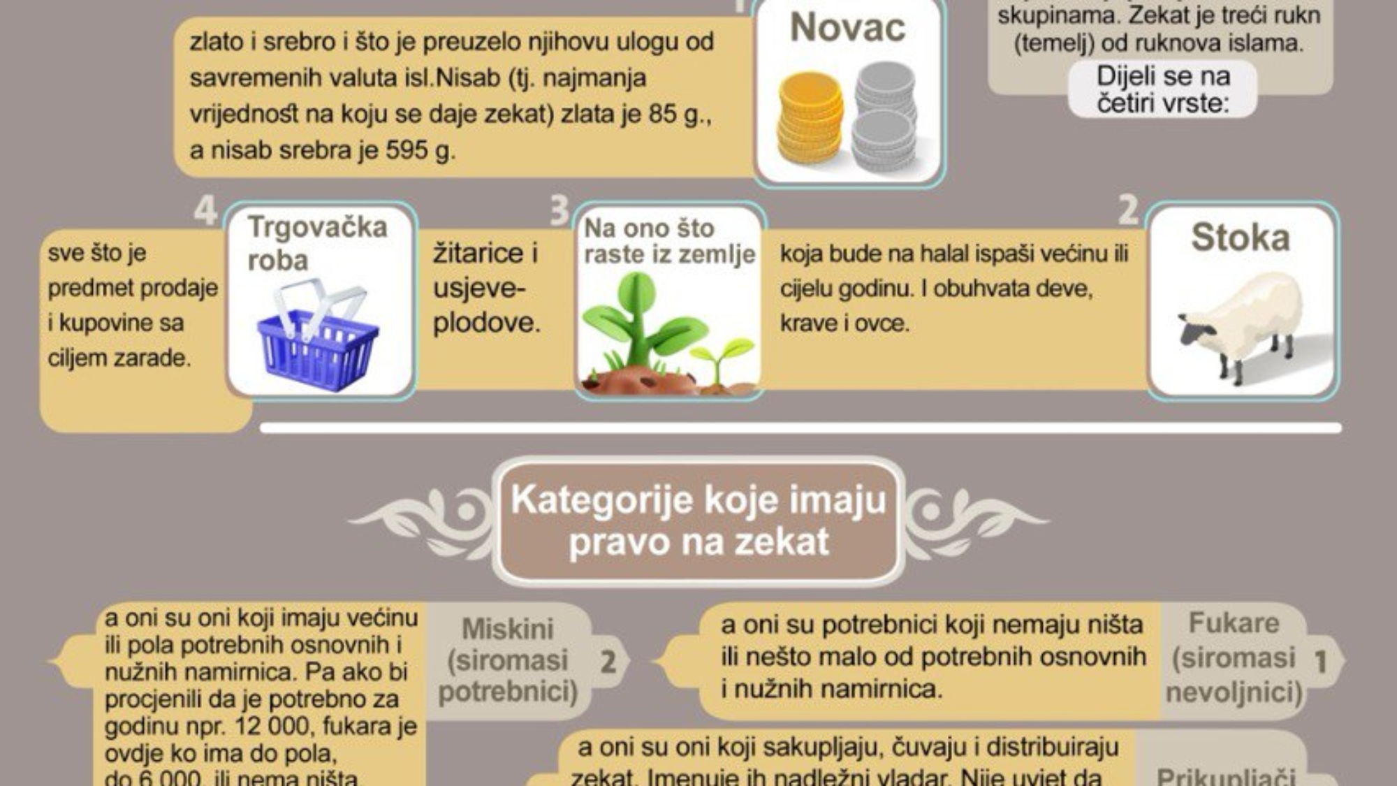 photo_2025-01-24_11-40-49