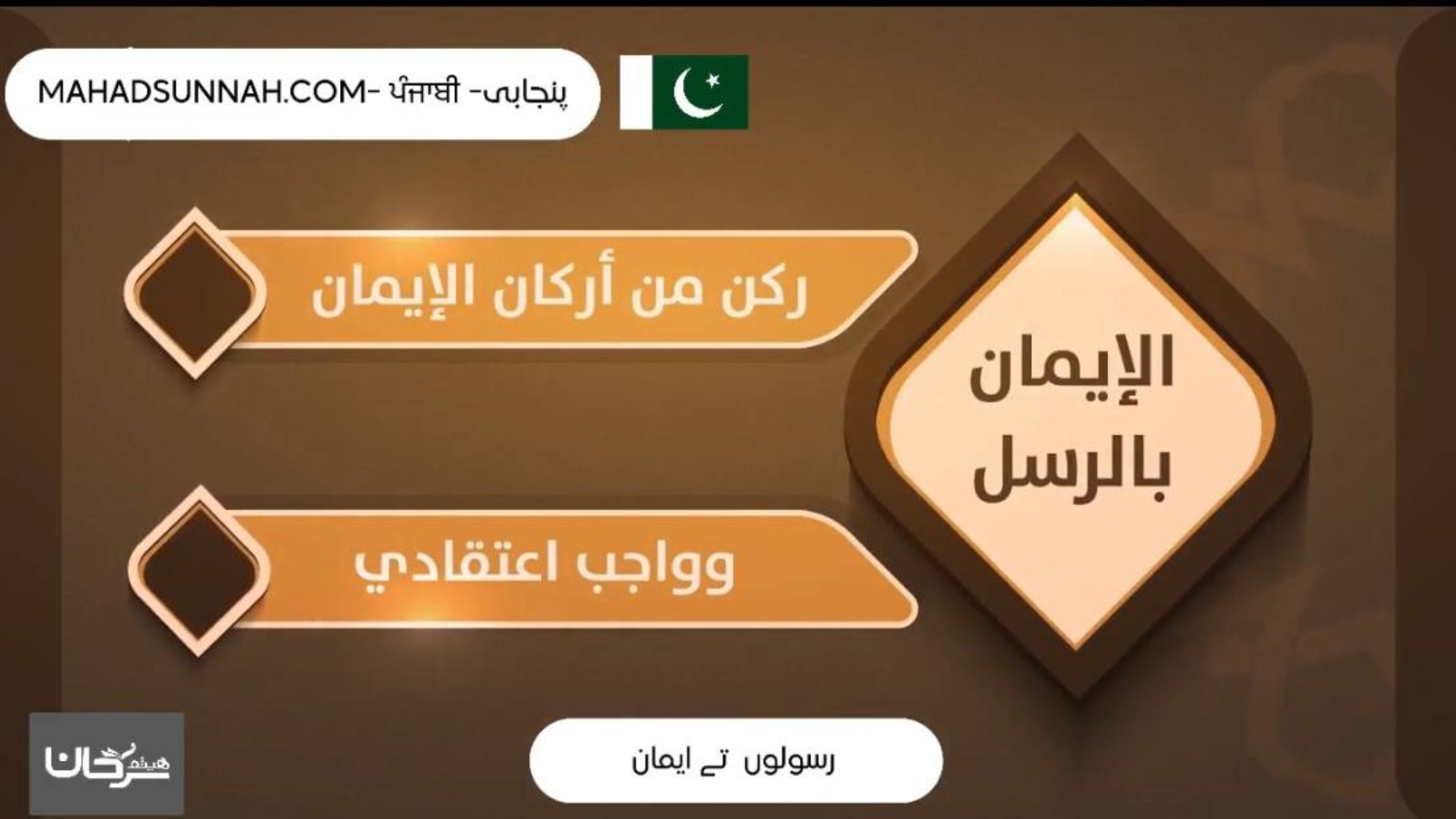 photo_2025-01-28_08-22-02