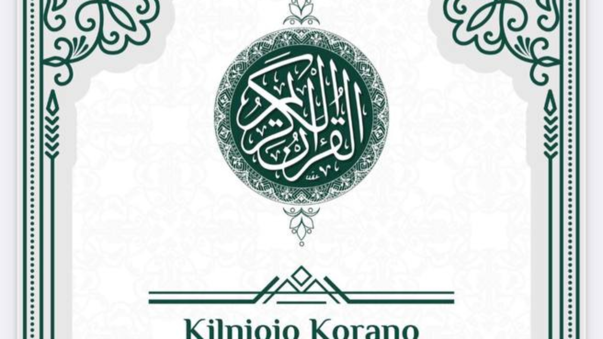 photo_2025-01-28_20-39-59