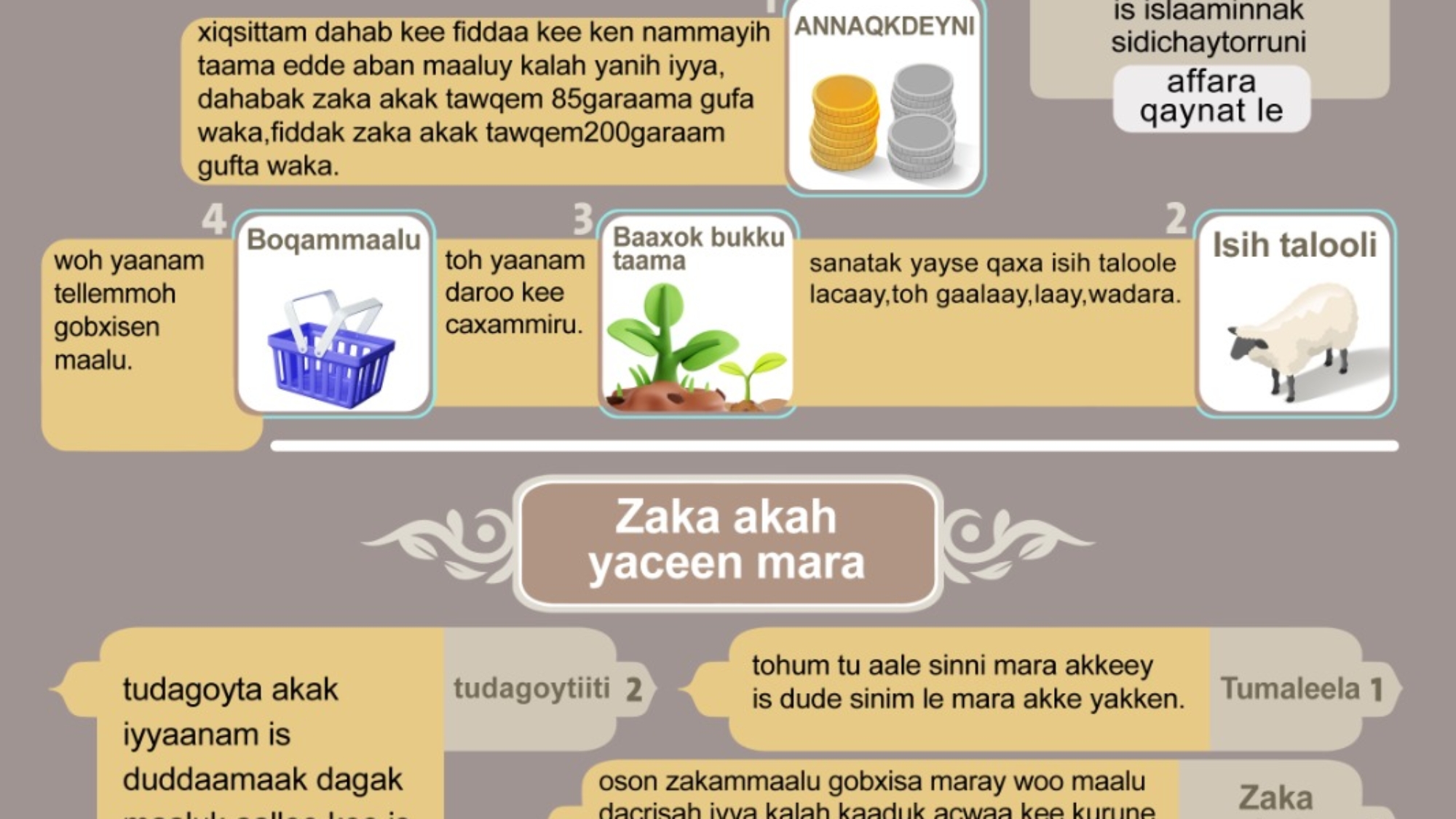 صورة واتساب بتاريخ 2024-12-14 في 14.48.24_5a074b53