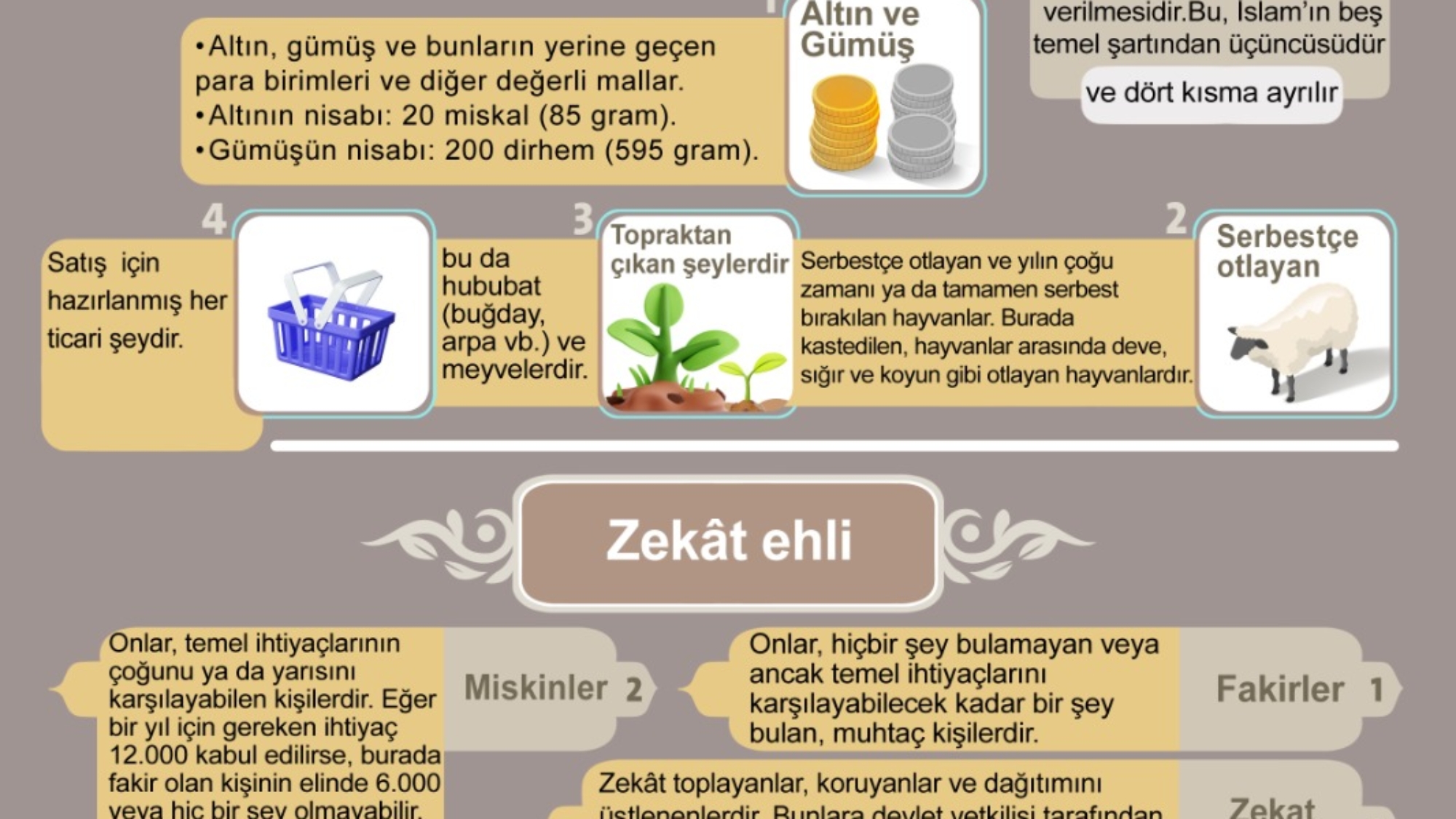 صورة واتساب بتاريخ 2025-01-03 في 13.47.58_a162f0c5