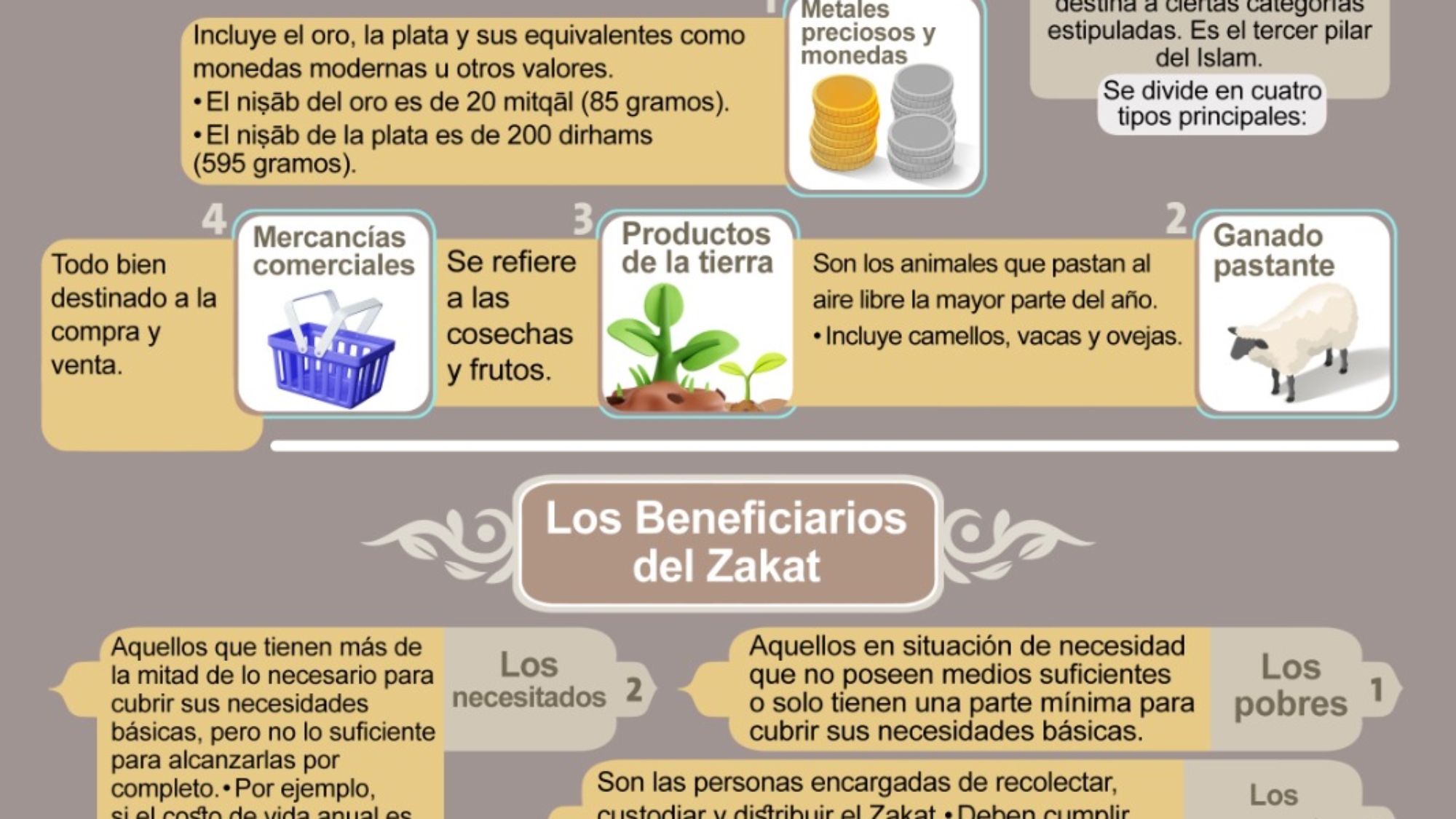 صورة واتساب بتاريخ 2025-01-13 في 13.58.37_3c46c505