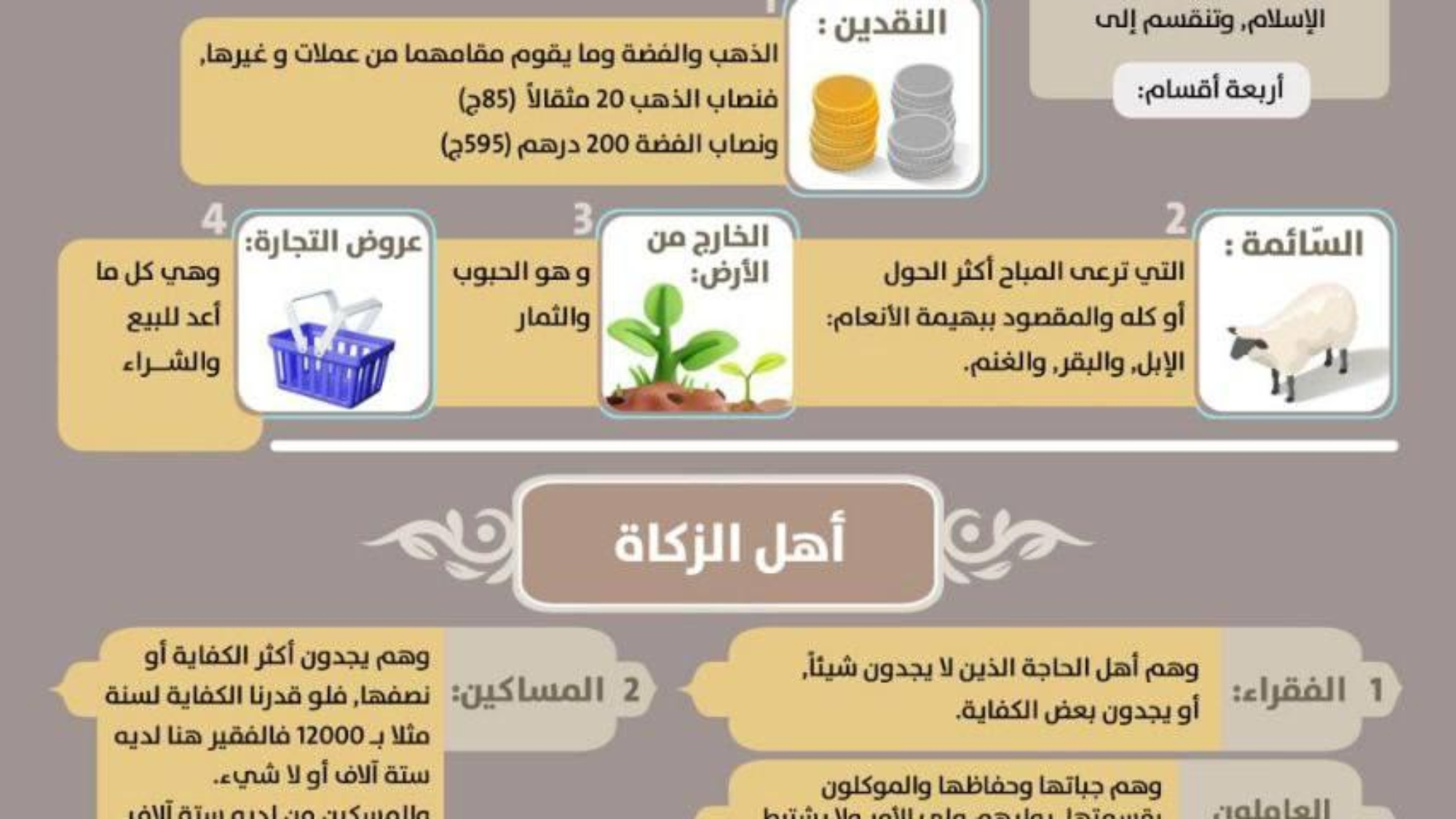 صورة واتساب بتاريخ 2025-01-20 في 06.37.50_31a9950f