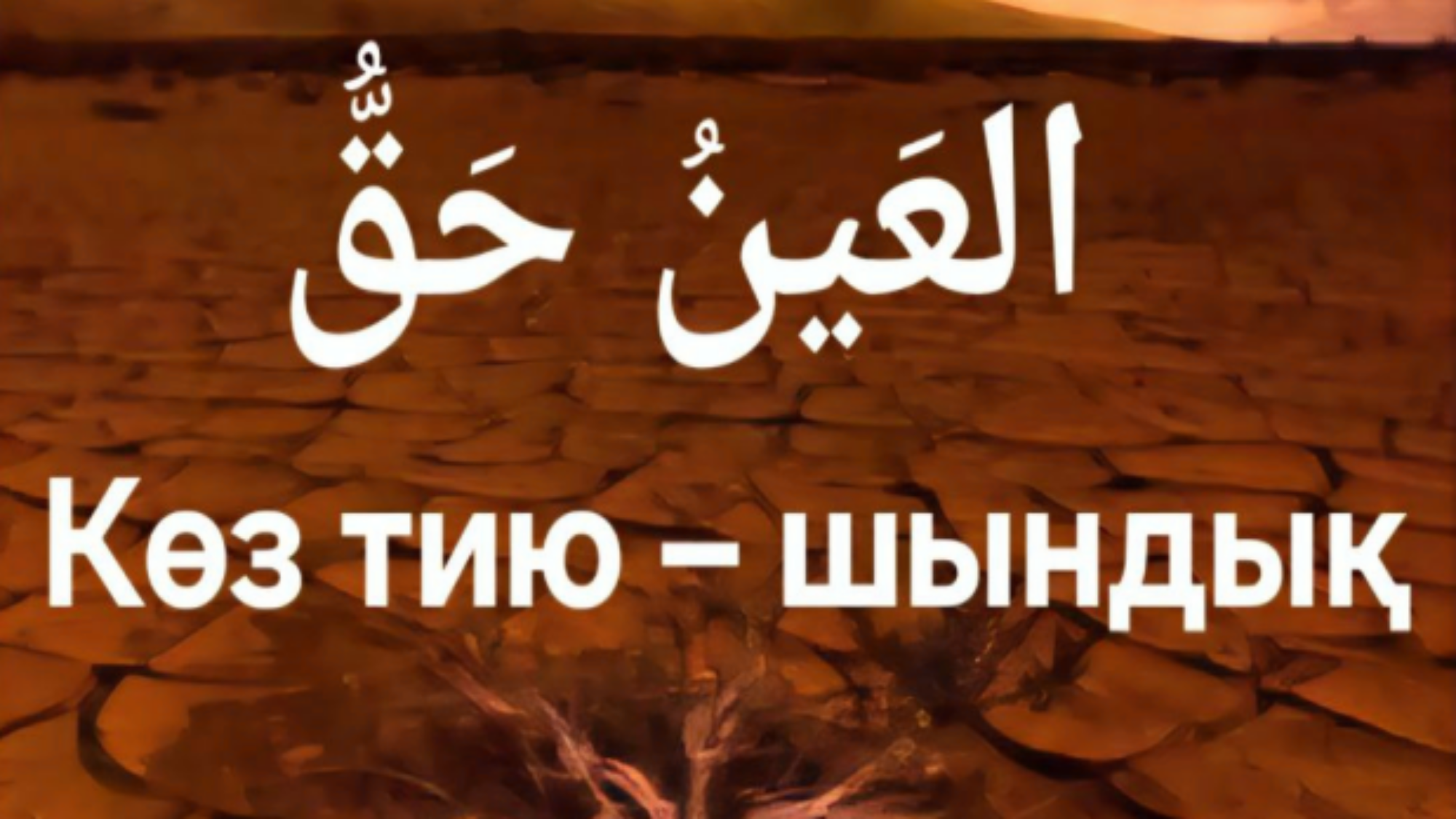 لقطة شاشة 2025-01-29 065545