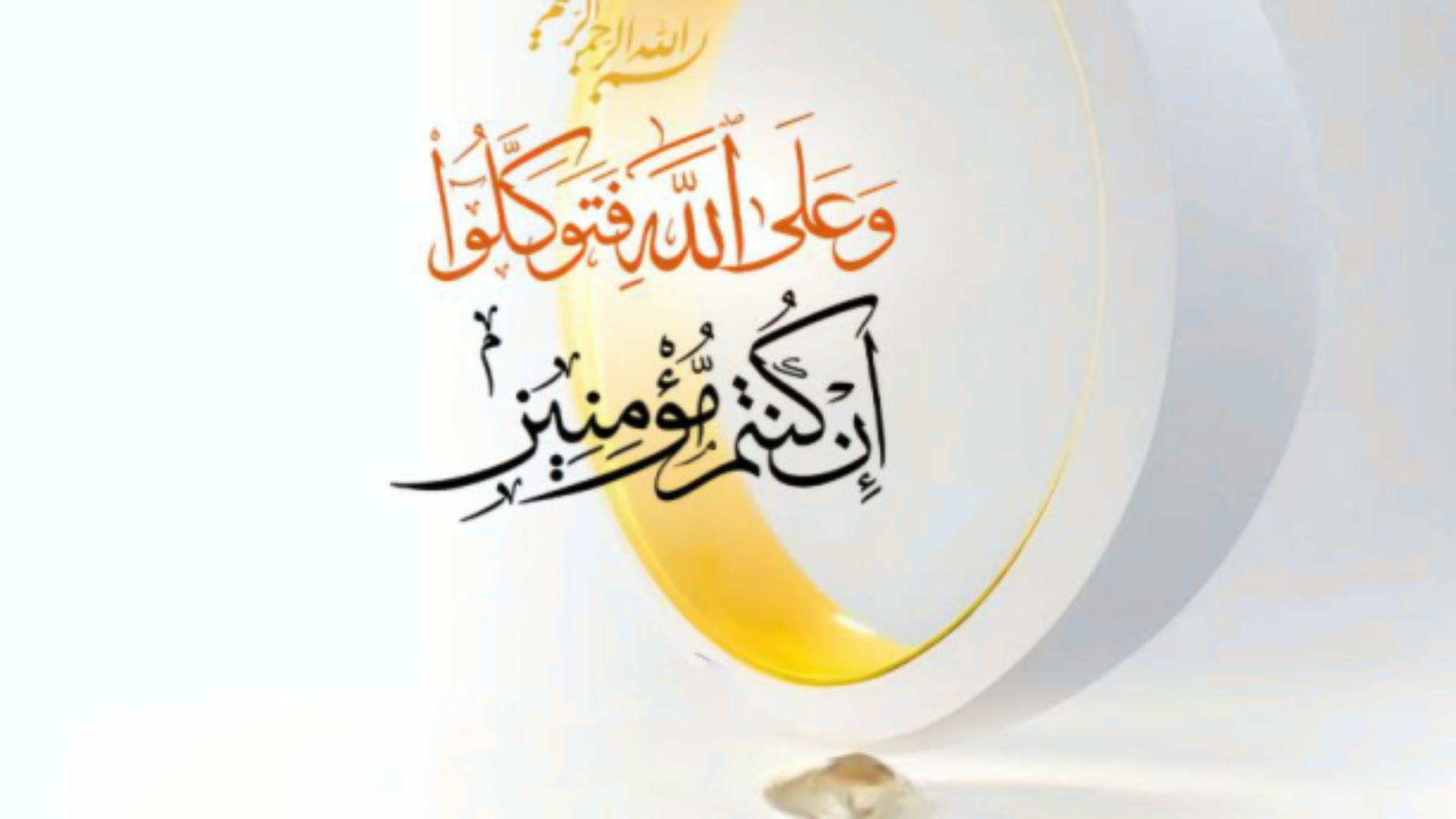 لقطة شاشة 2025-01-29 081218