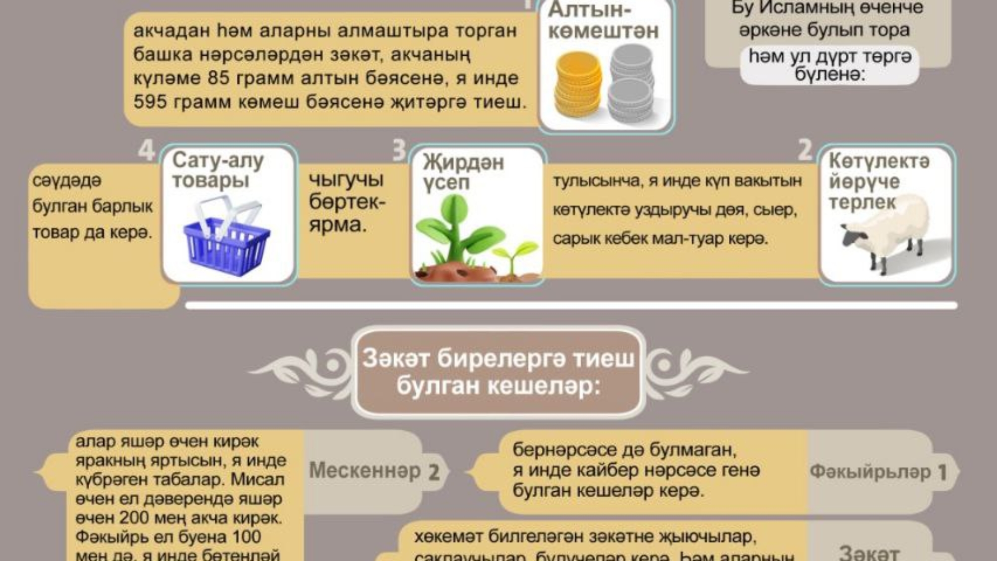 photo_2025-02-13_17-51-59