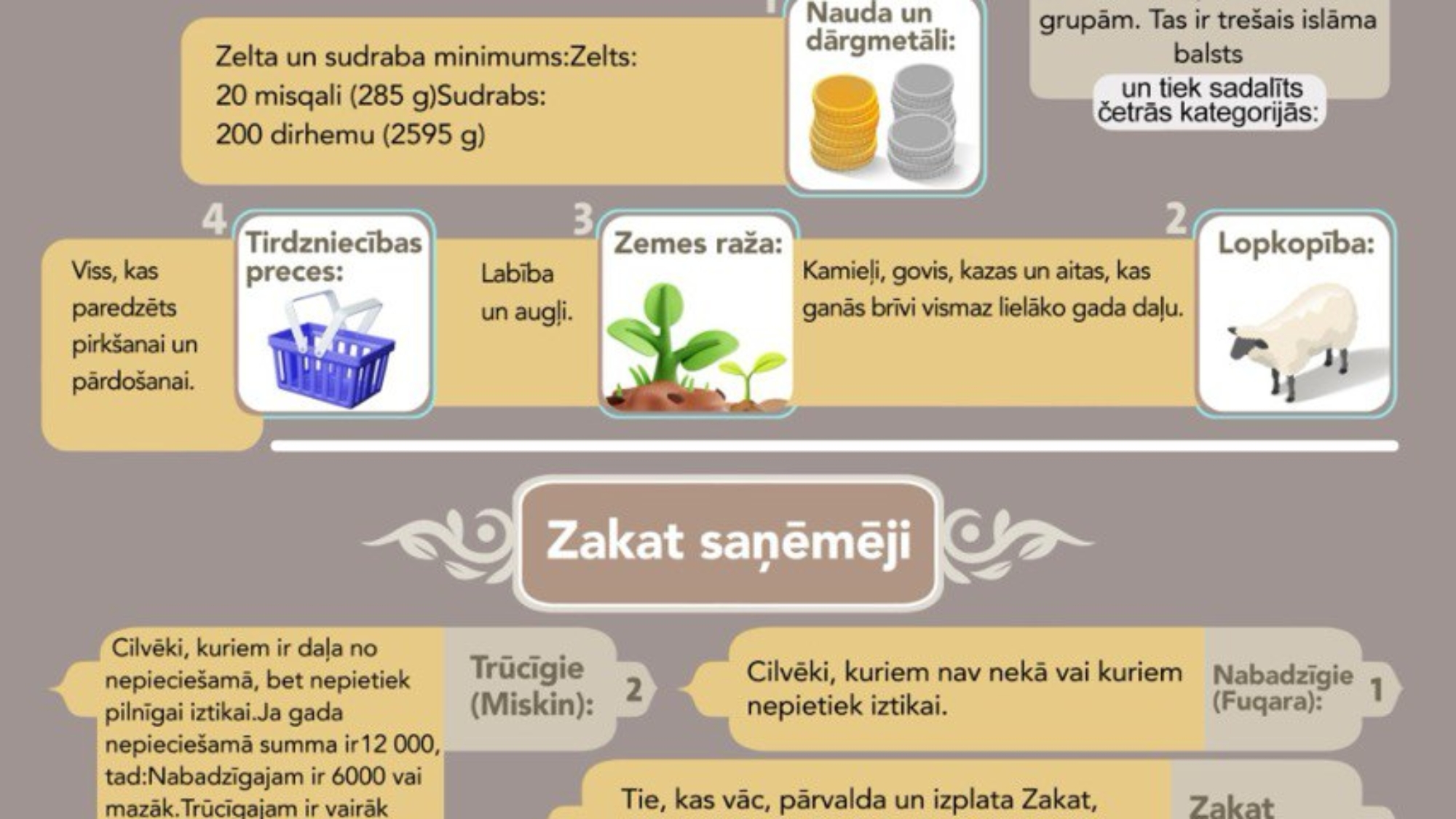 photo_2025-02-25_11-08-49