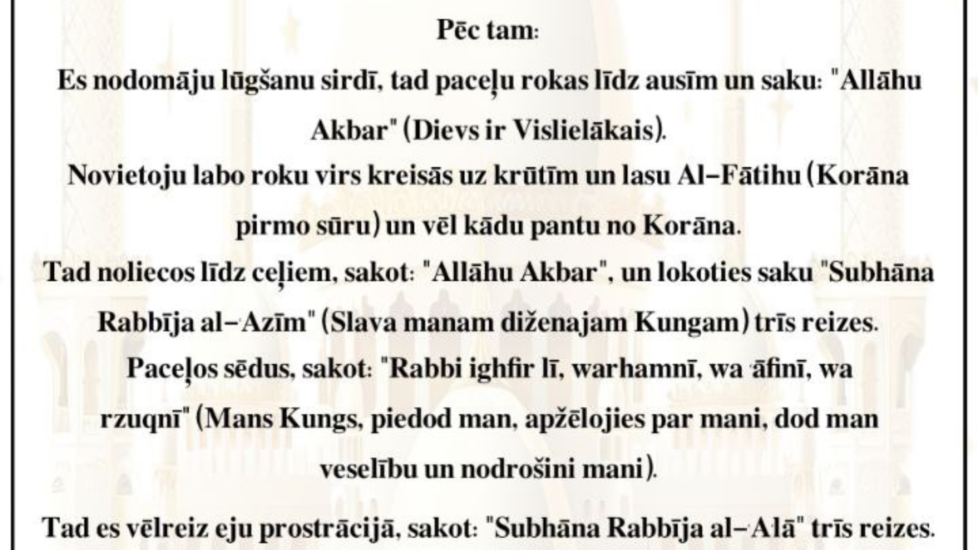 photo_2025-02-25_11-24-17