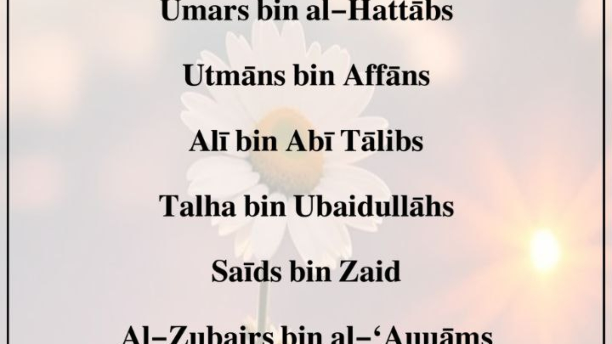 photo_2025-02-25_12-00-48