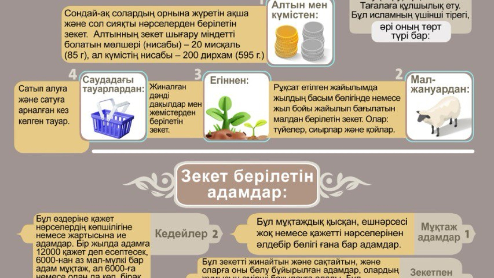 photo_2025-02-25_12-36-16