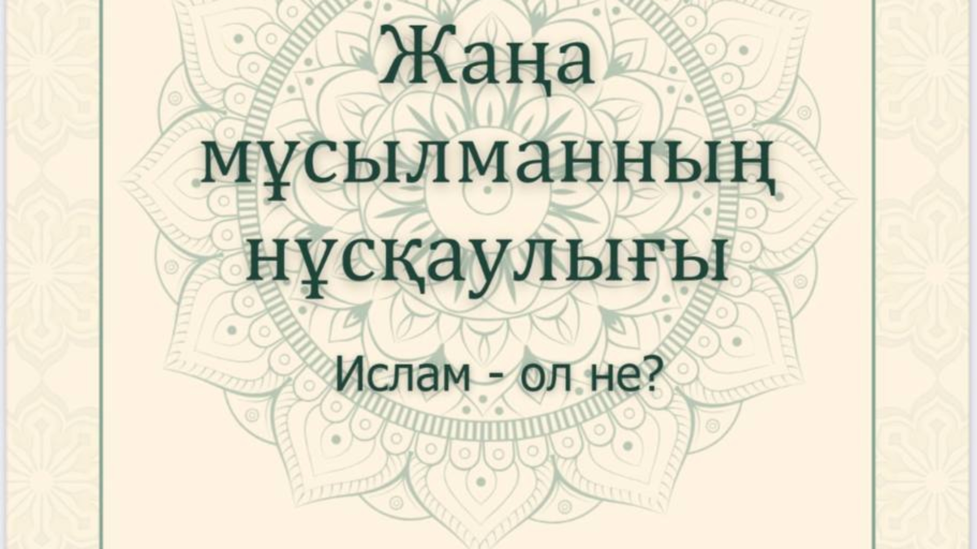 photo_2025-02-26_12-42-19